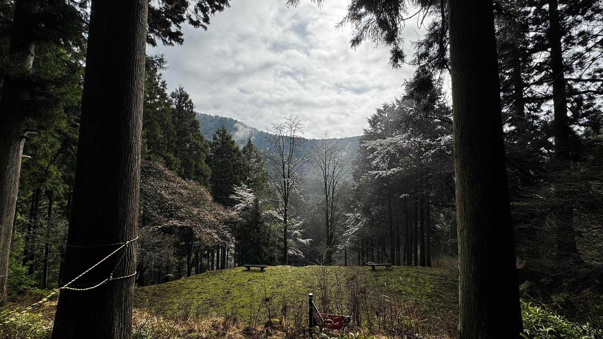 鍋割山・塔ノ岳・烏尾山縦走 の写真 3