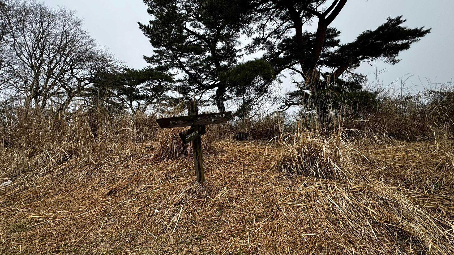 鍋割山・塔ノ岳・烏尾山縦走 の写真 8
