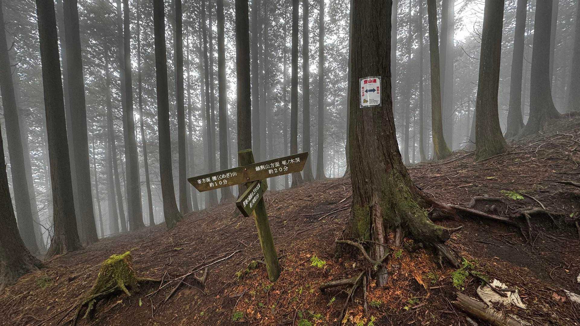 鍋割山・塔ノ岳・烏尾山縦走 の写真 10