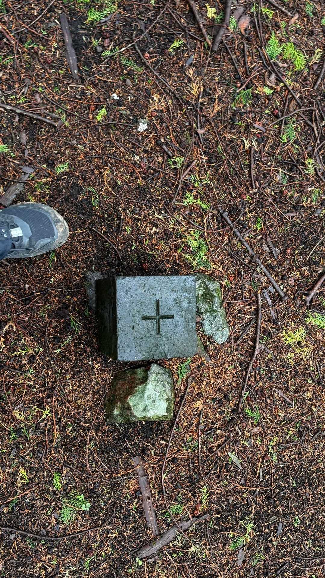 鍋割山・塔ノ岳・烏尾山縦走 の写真 11