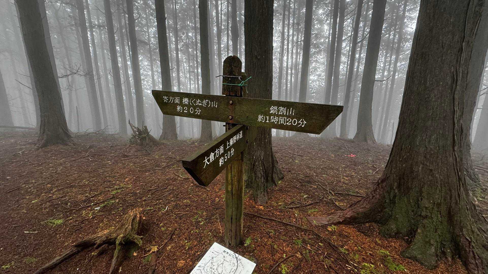 鍋割山・塔ノ岳・烏尾山縦走 の写真 12