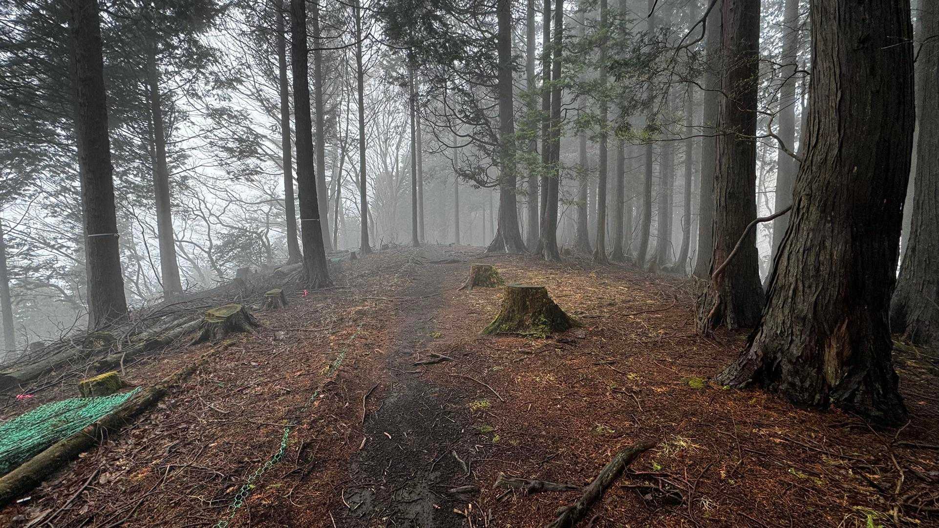 鍋割山・塔ノ岳・烏尾山縦走 の写真 13