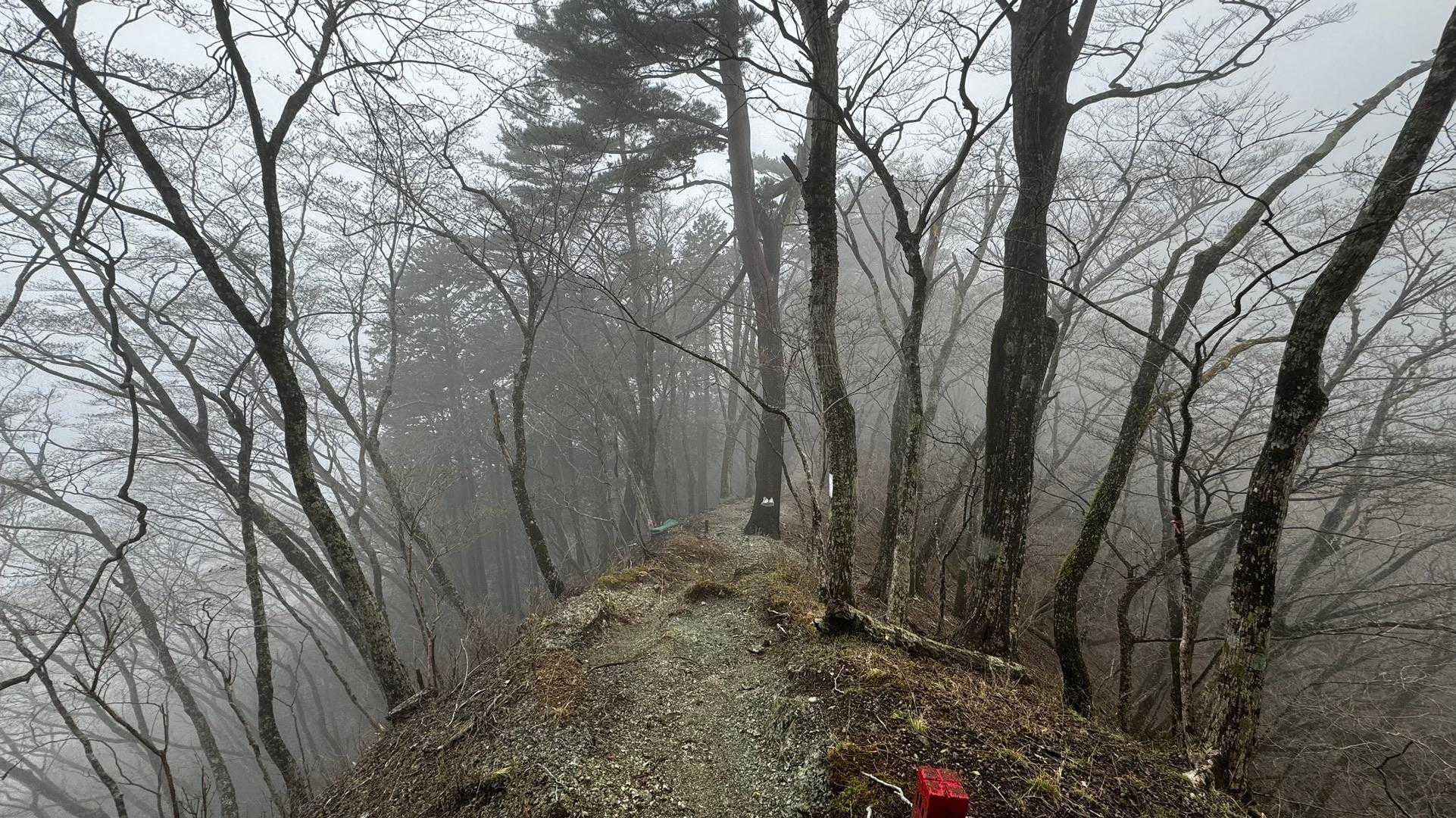 鍋割山・塔ノ岳・烏尾山縦走 の写真 14
