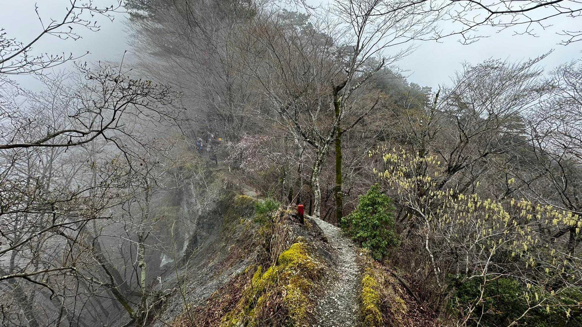 鍋割山・塔ノ岳・烏尾山縦走 の写真 16