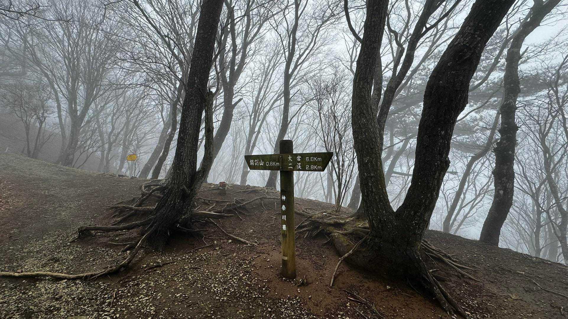鍋割山・塔ノ岳・烏尾山縦走 の写真 19