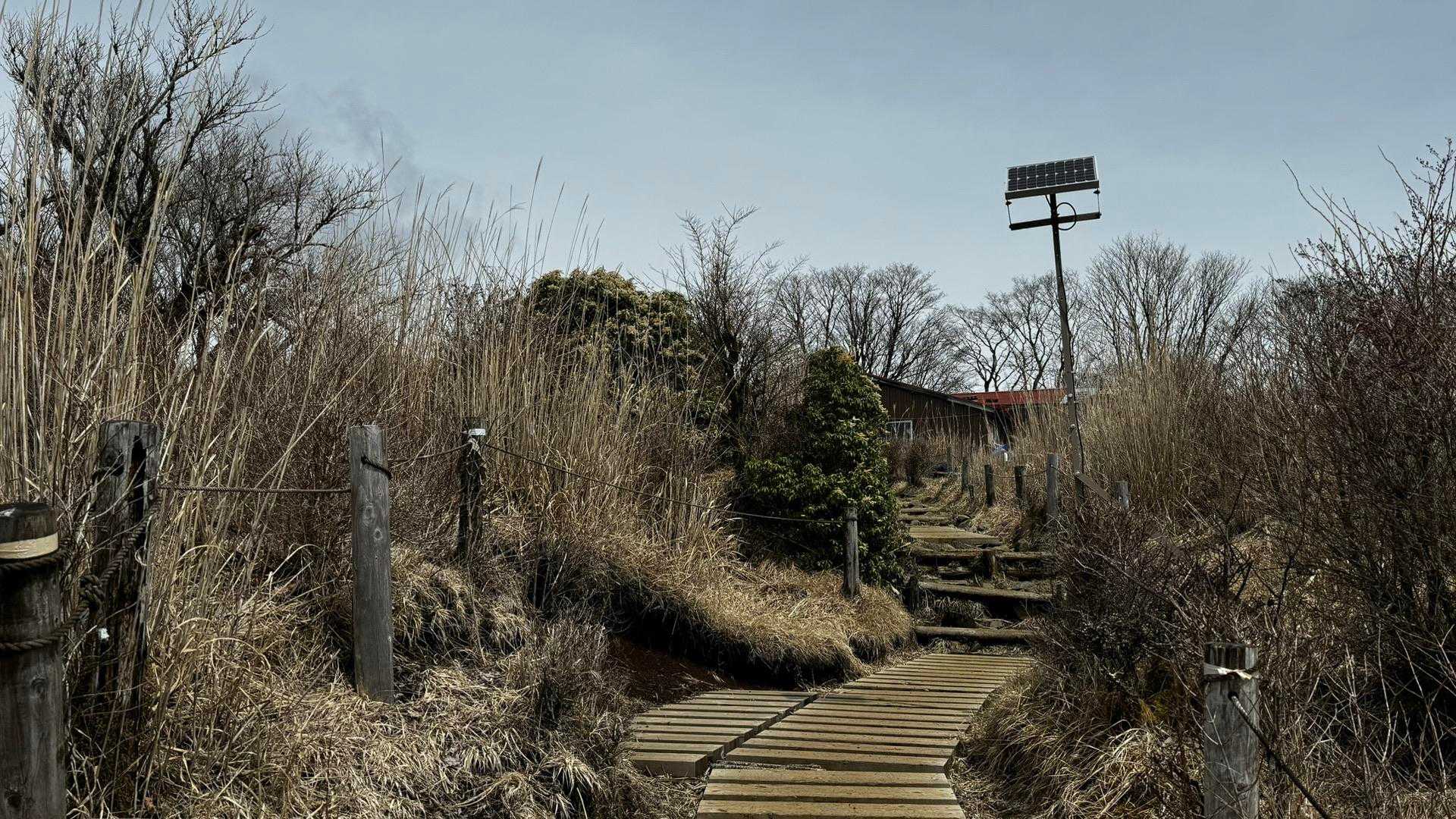 鍋割山・塔ノ岳・烏尾山縦走 の写真 22