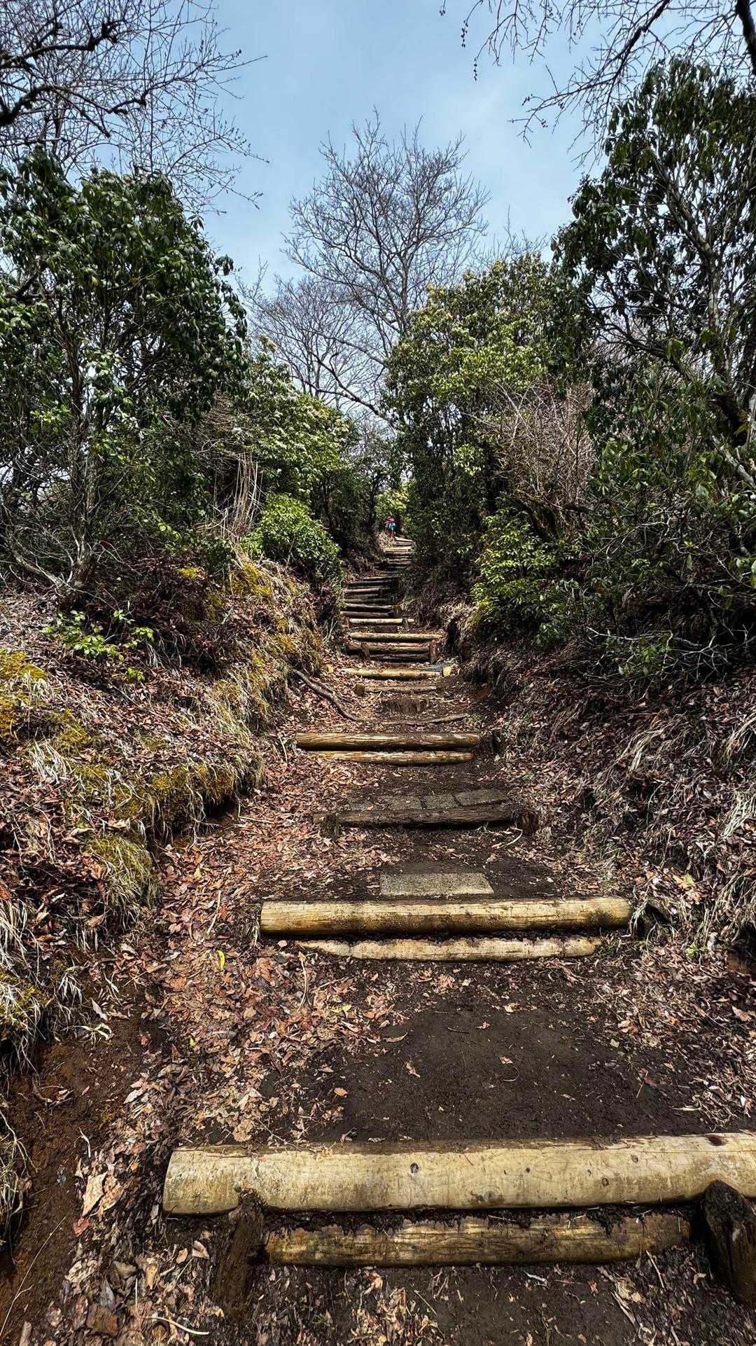 鍋割山・塔ノ岳・烏尾山縦走 の写真 20
