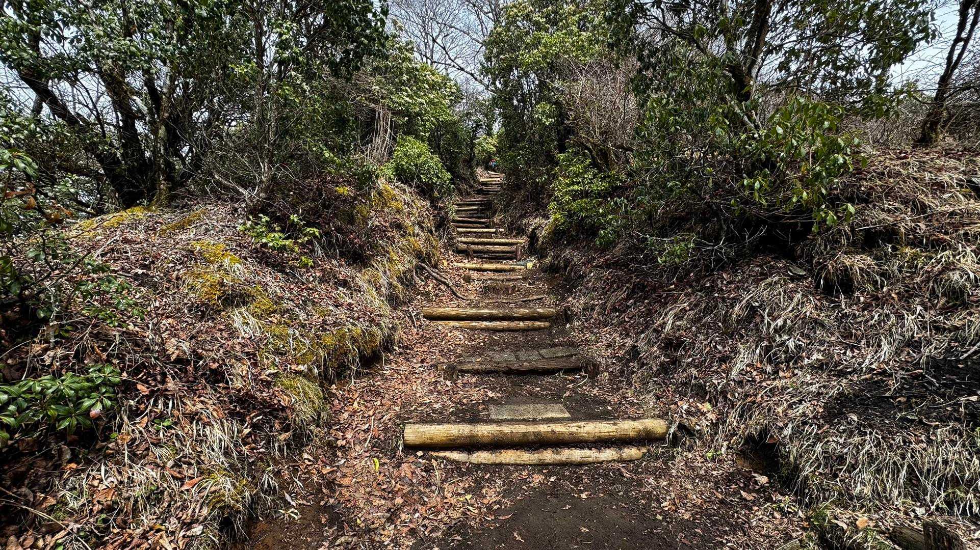鍋割山・塔ノ岳・烏尾山縦走 の写真 21