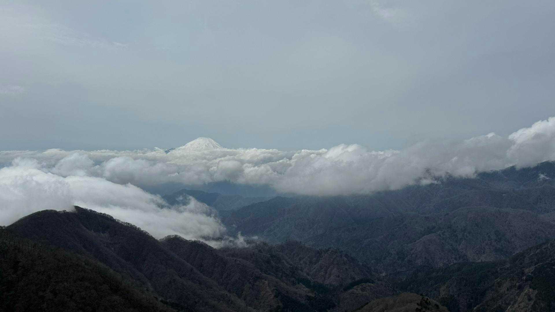 鍋割山・塔ノ岳・烏尾山縦走 の写真 30