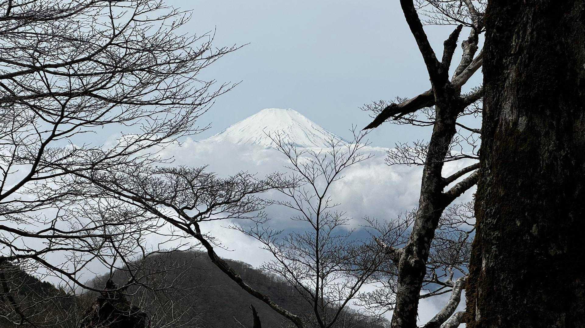 鍋割山・塔ノ岳・烏尾山縦走 の写真 28