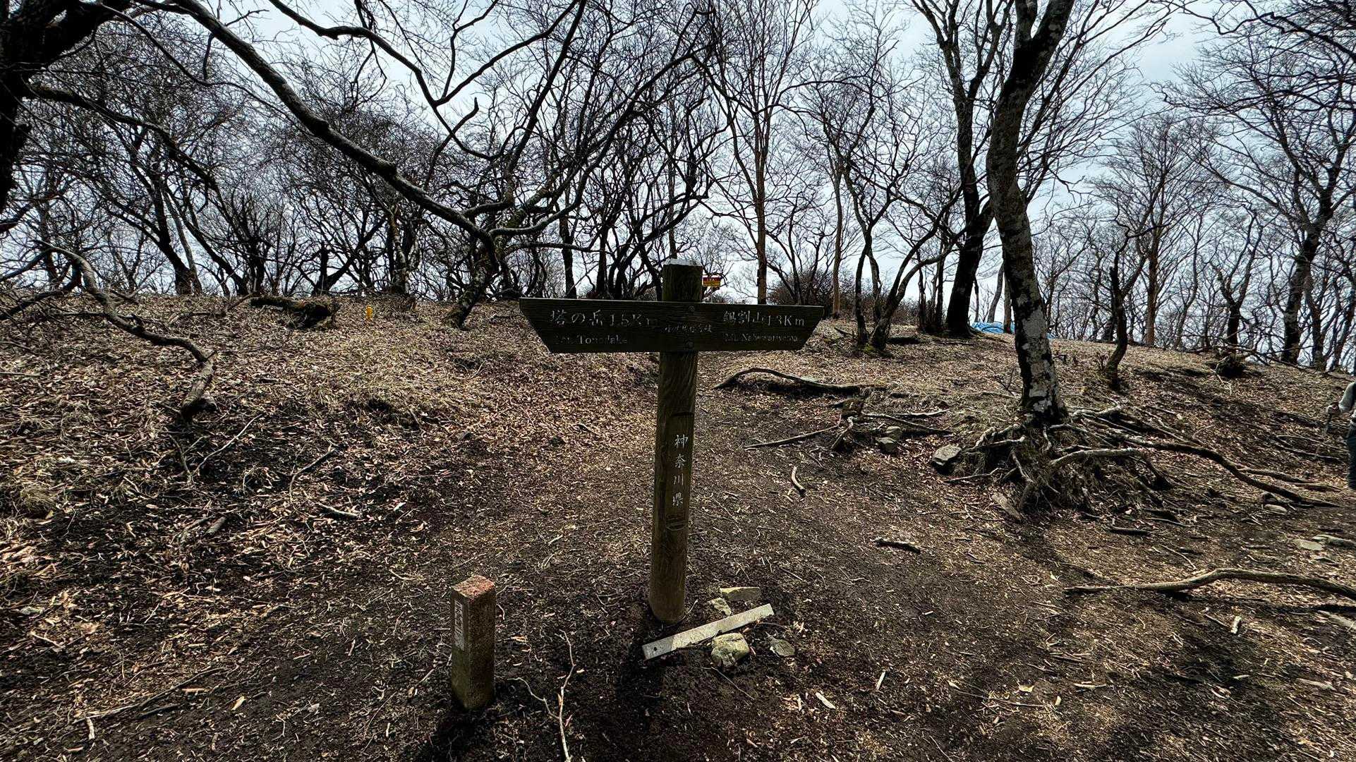 鍋割山・塔ノ岳・烏尾山縦走 の写真 27