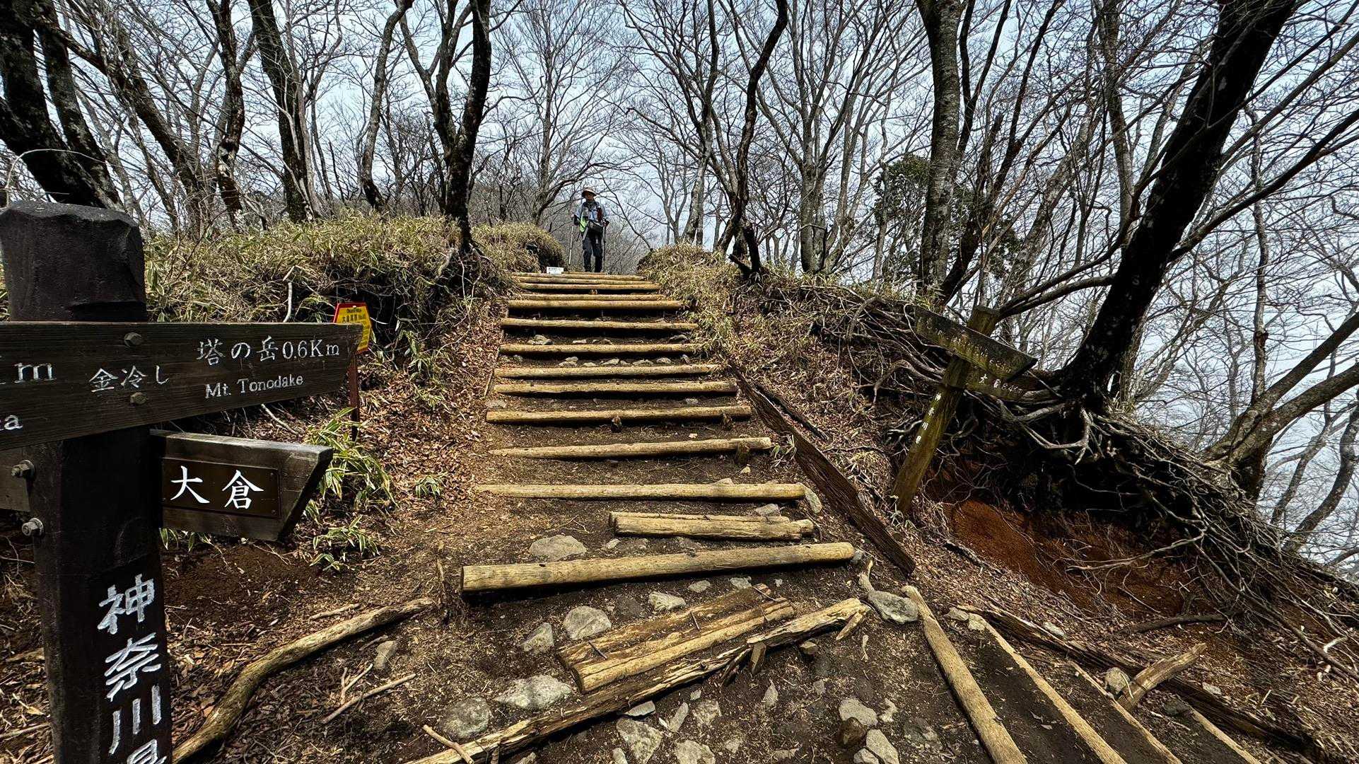 鍋割山・塔ノ岳・烏尾山縦走 の写真 29