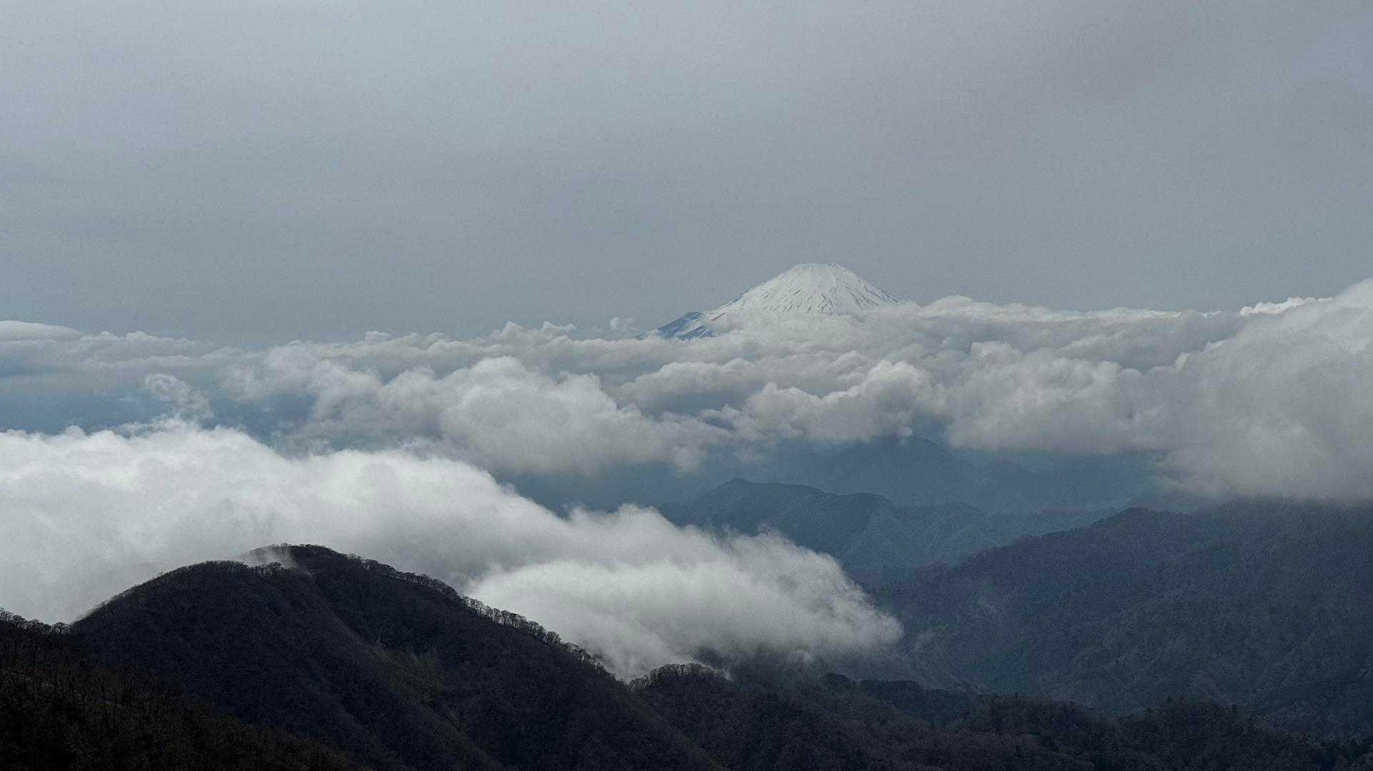 鍋割山・塔ノ岳・烏尾山縦走 の写真 32