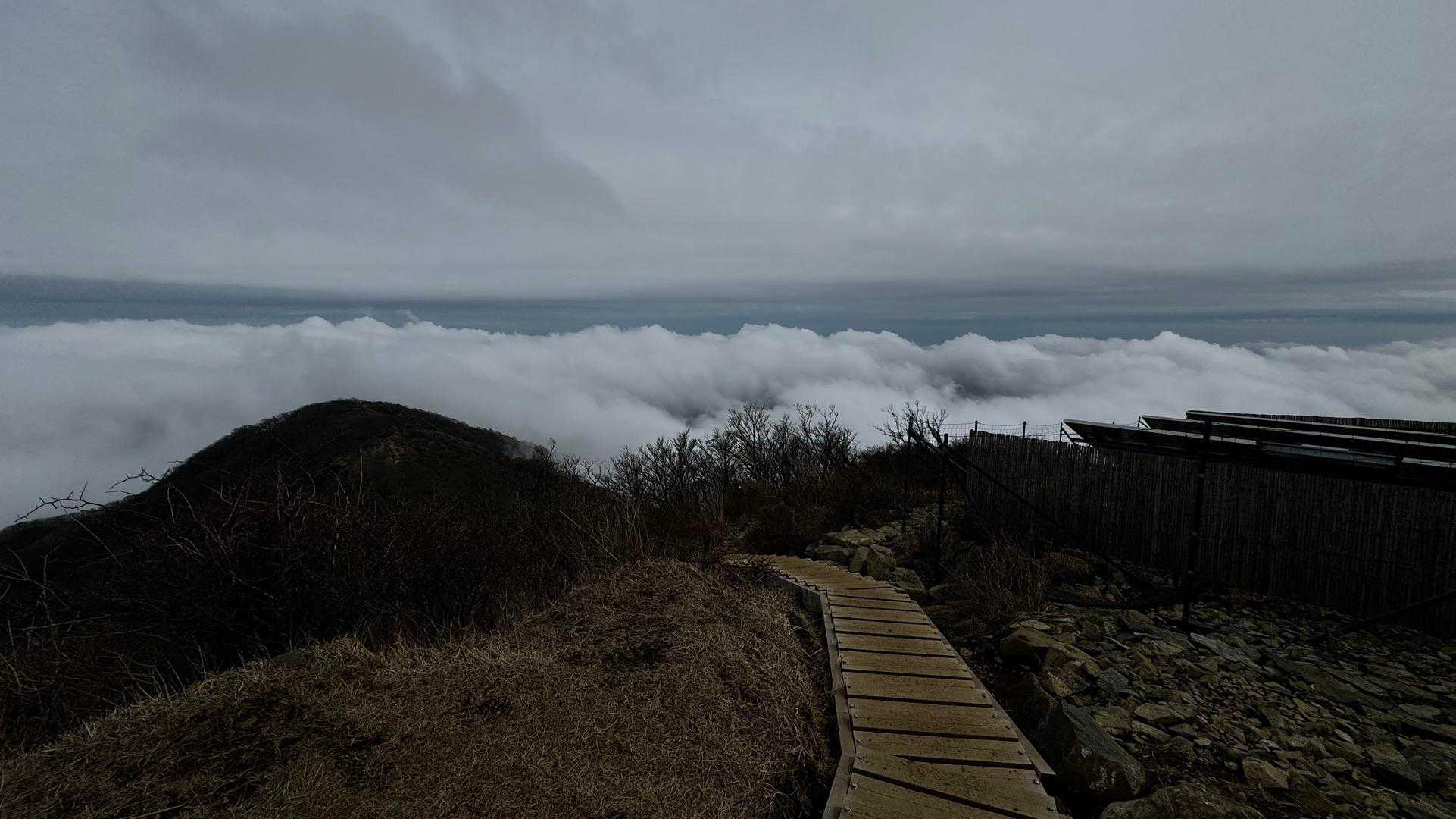 鍋割山・塔ノ岳・烏尾山縦走 の写真 33