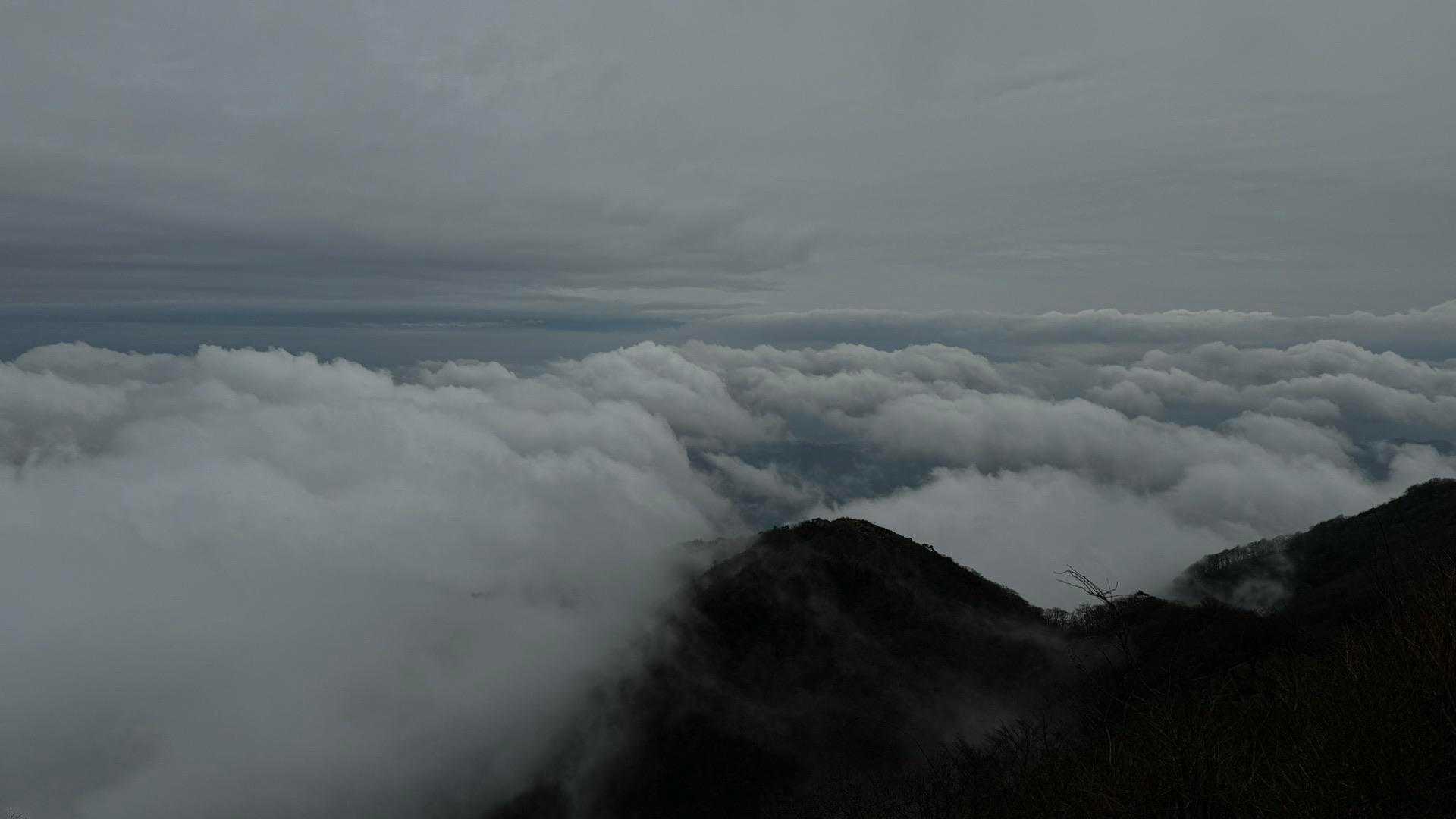 鍋割山・塔ノ岳・烏尾山縦走 の写真 34
