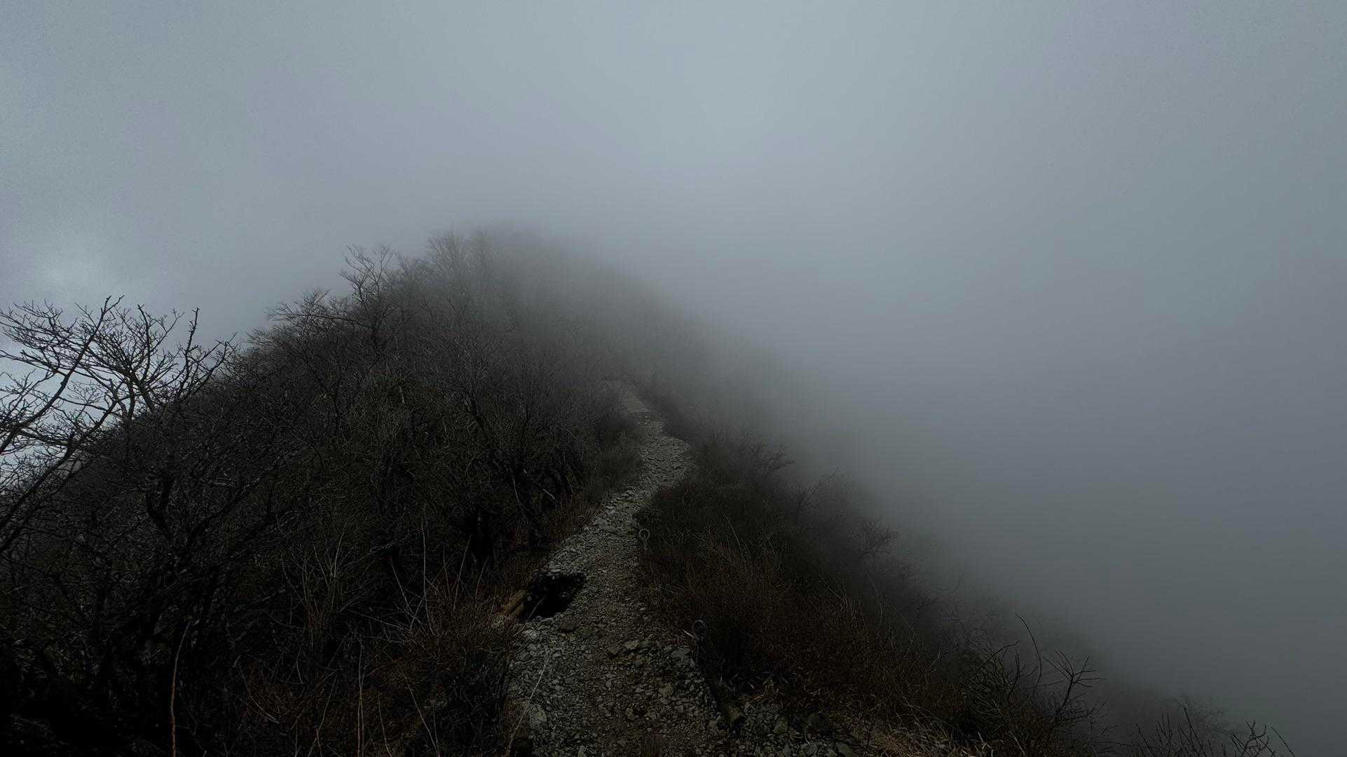 鍋割山・塔ノ岳・烏尾山縦走 の写真 35