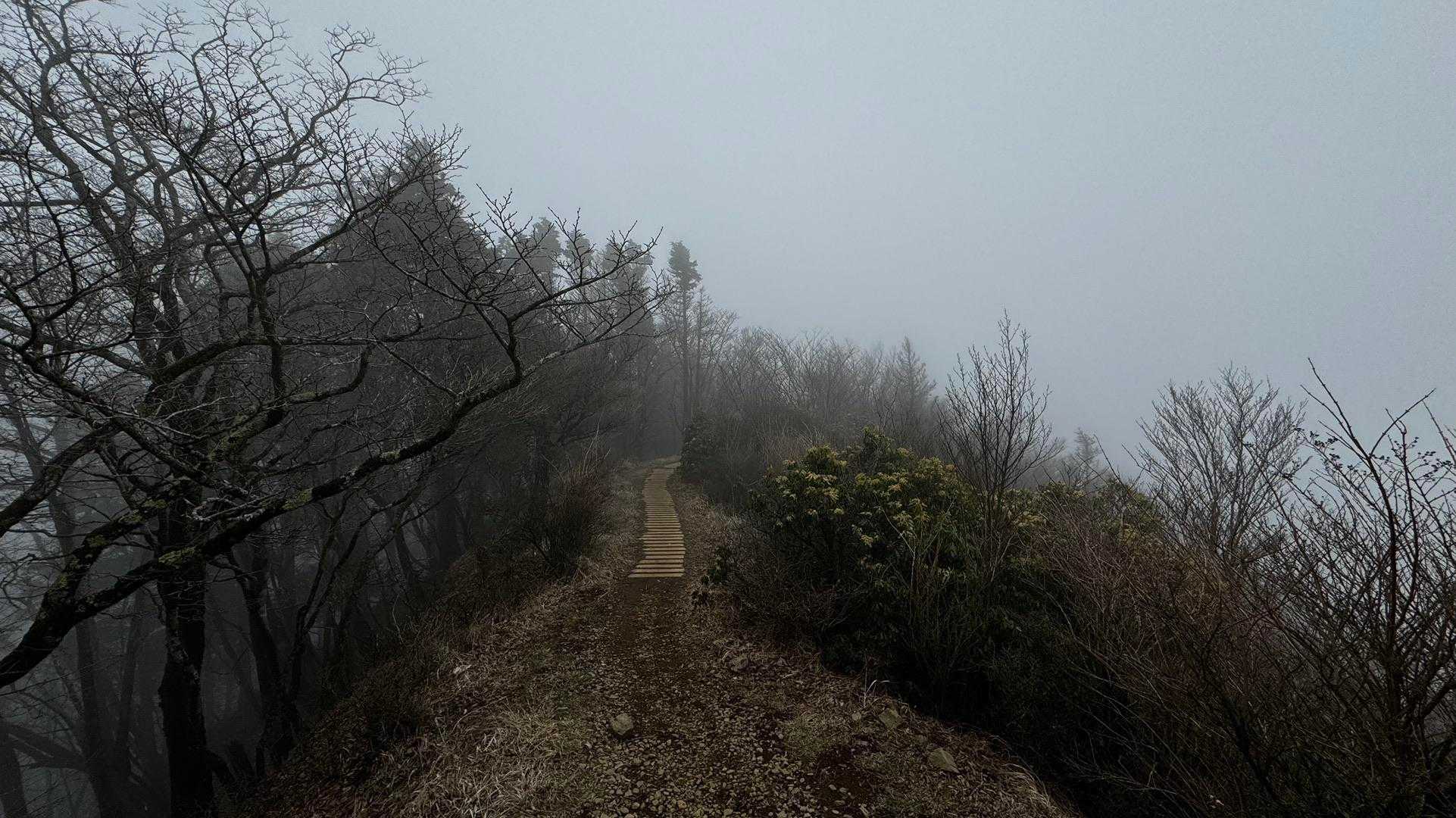 鍋割山・塔ノ岳・烏尾山縦走 の写真 38