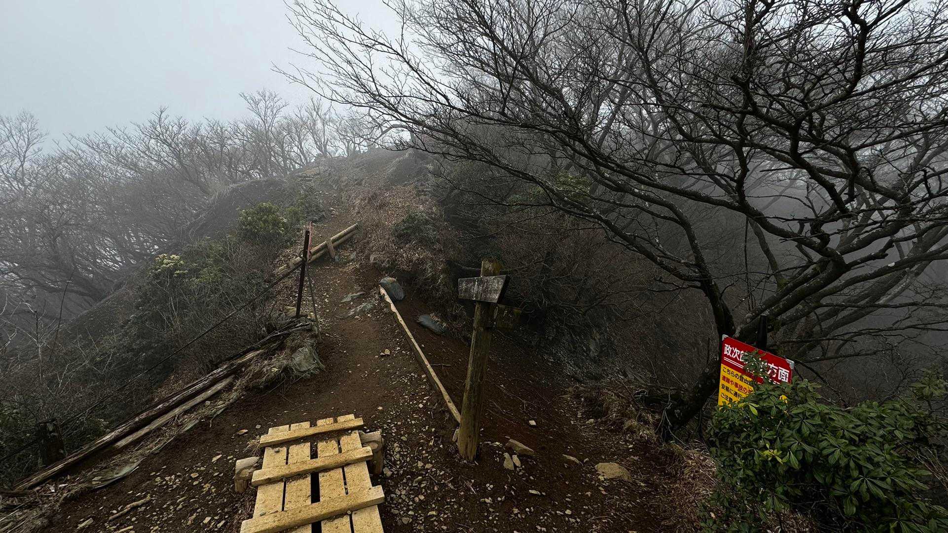 鍋割山・塔ノ岳・烏尾山縦走 の写真 39