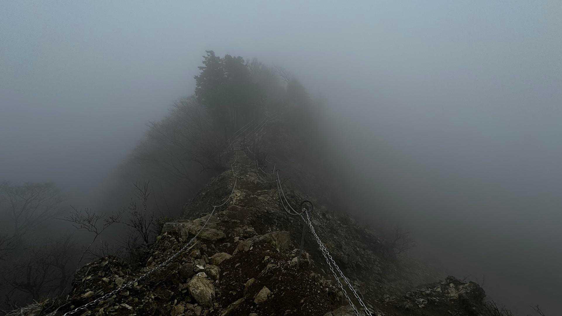 鍋割山・塔ノ岳・烏尾山縦走 の写真 40