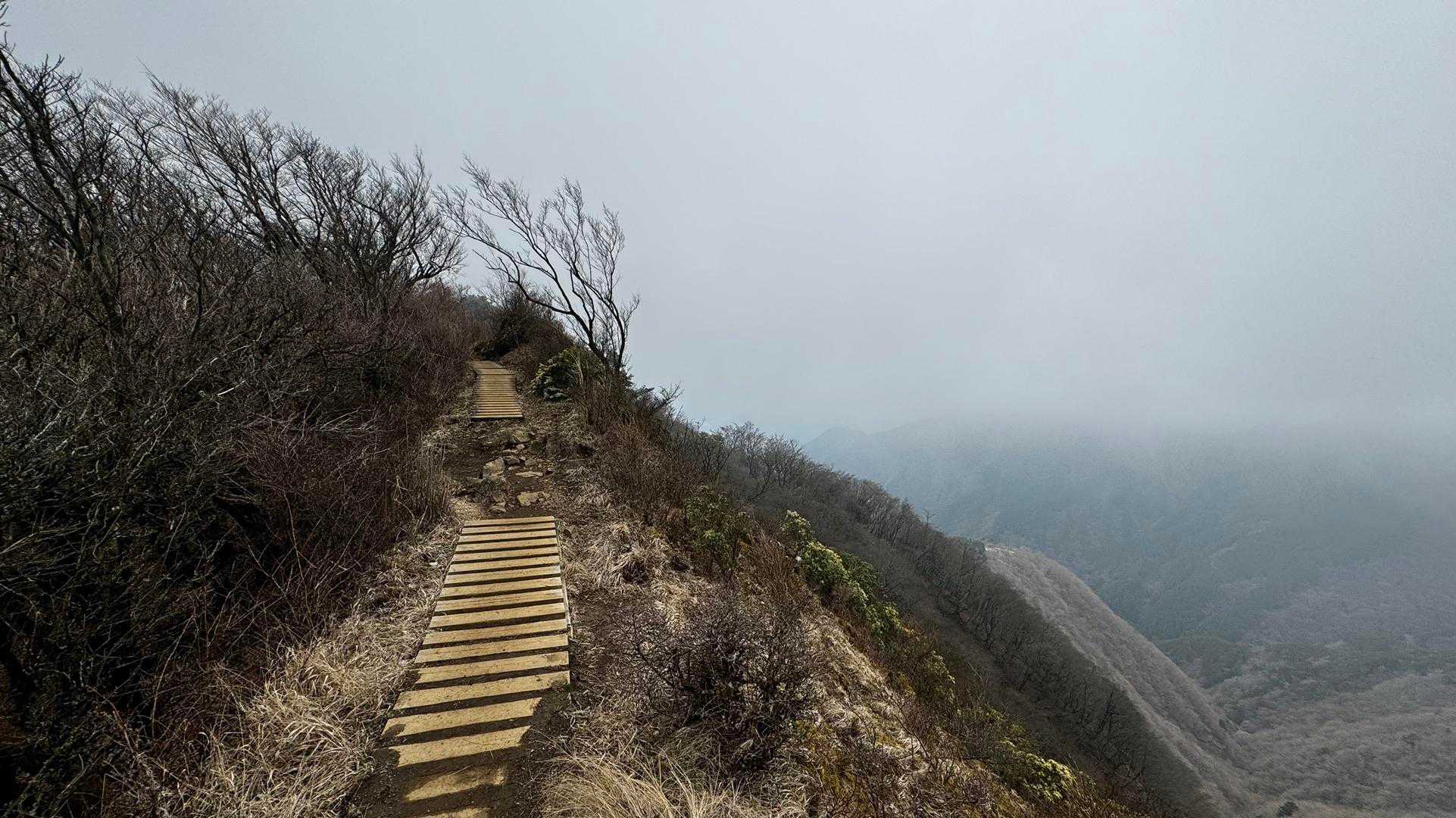 鍋割山・塔ノ岳・烏尾山縦走 の写真 42