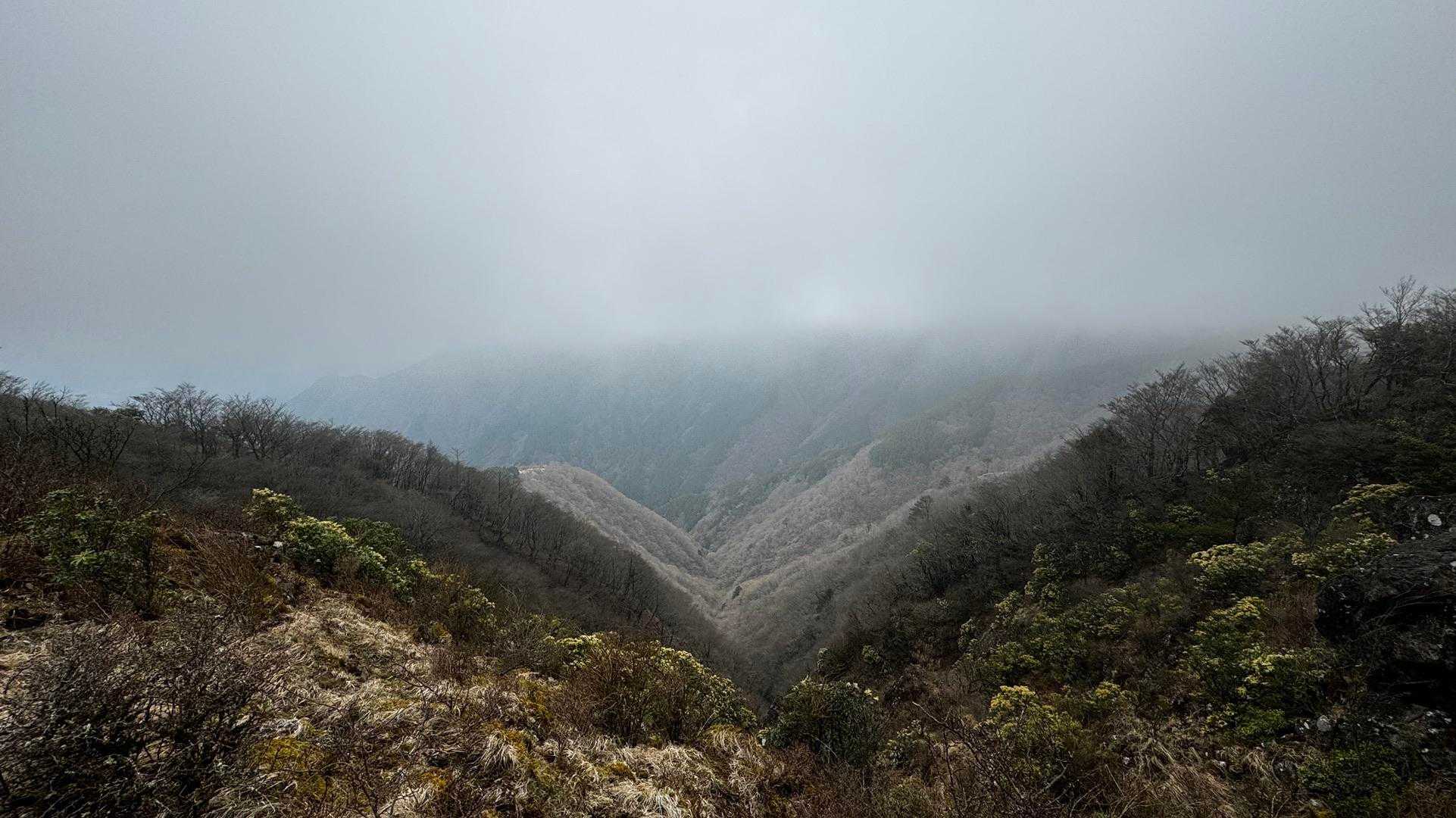 鍋割山・塔ノ岳・烏尾山縦走 の写真 41