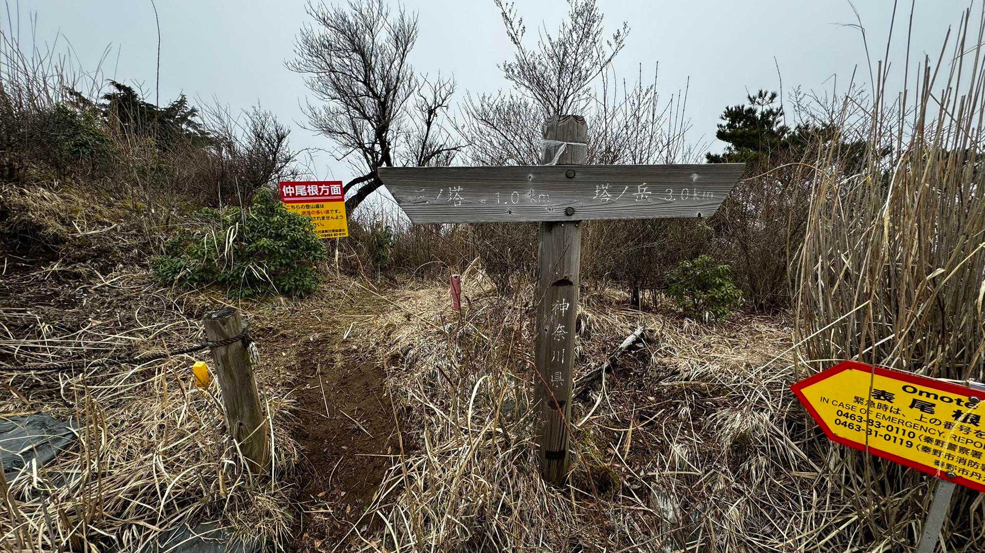 鍋割山・塔ノ岳・烏尾山縦走 の写真 43