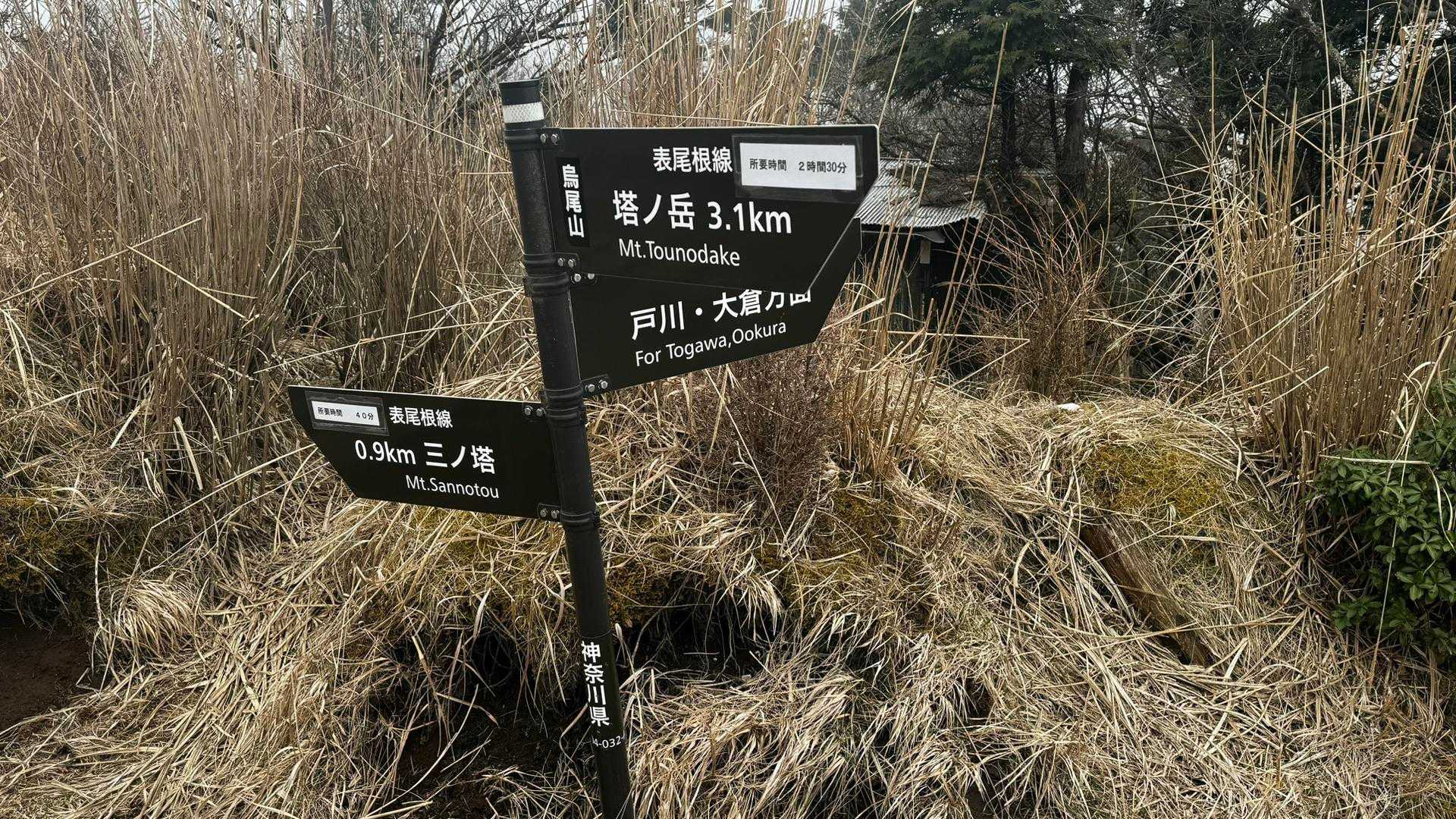 鍋割山・塔ノ岳・烏尾山縦走 の写真 45