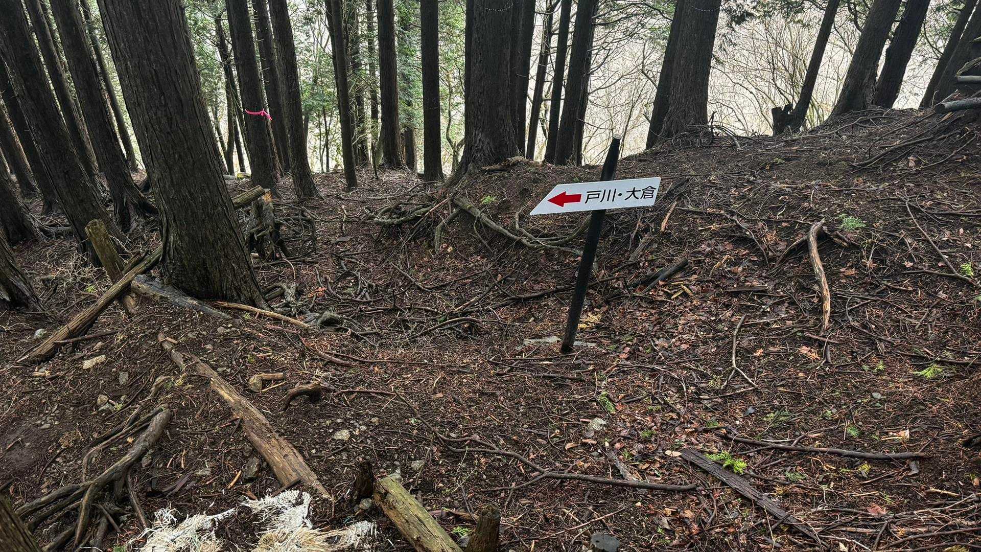 鍋割山・塔ノ岳・烏尾山縦走 の写真 47