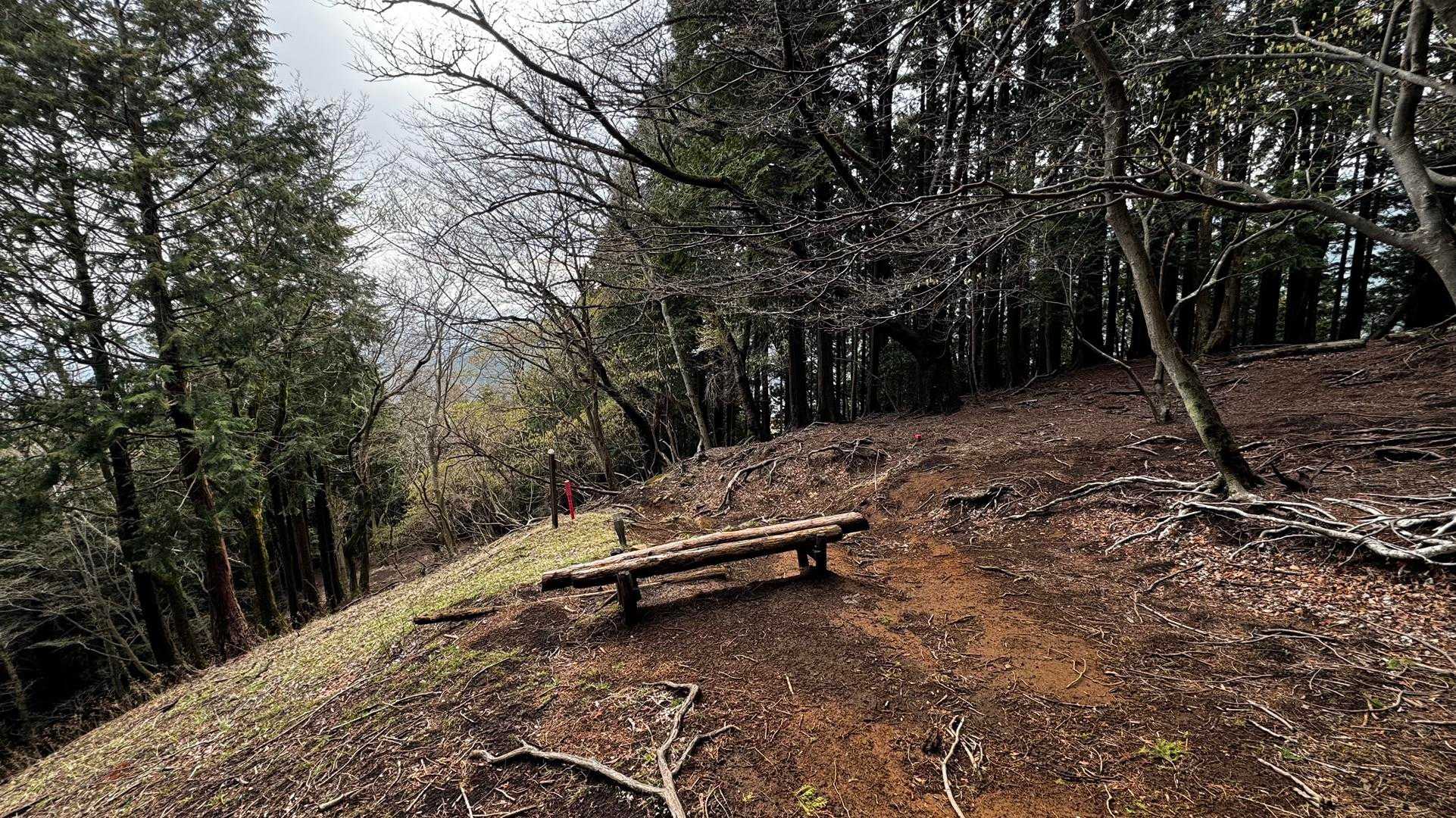 鍋割山・塔ノ岳・烏尾山縦走 の写真 52