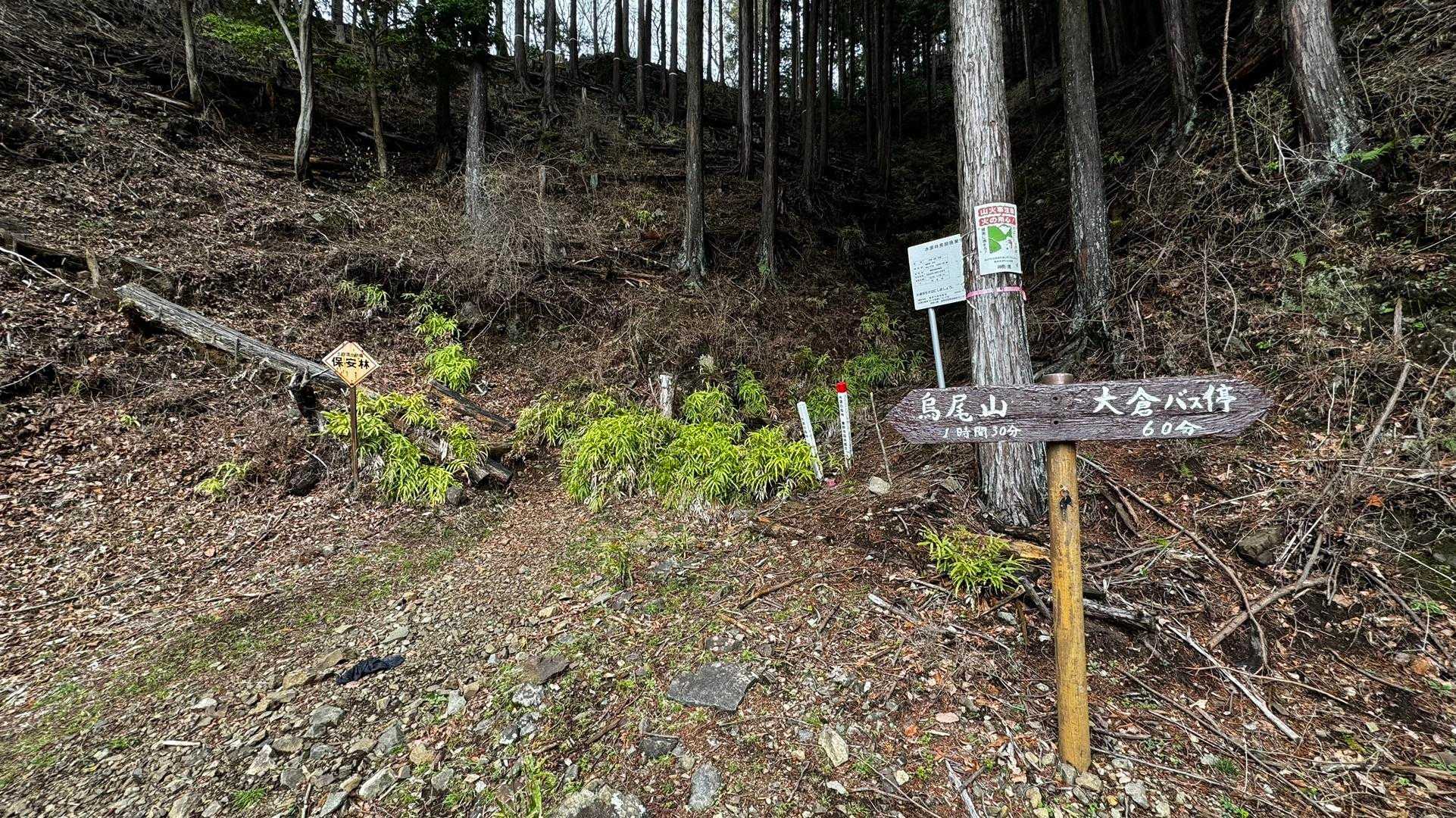鍋割山・塔ノ岳・烏尾山縦走 の写真 54