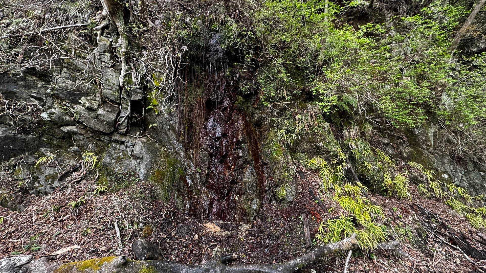 鍋割山・塔ノ岳・烏尾山縦走 の写真 57