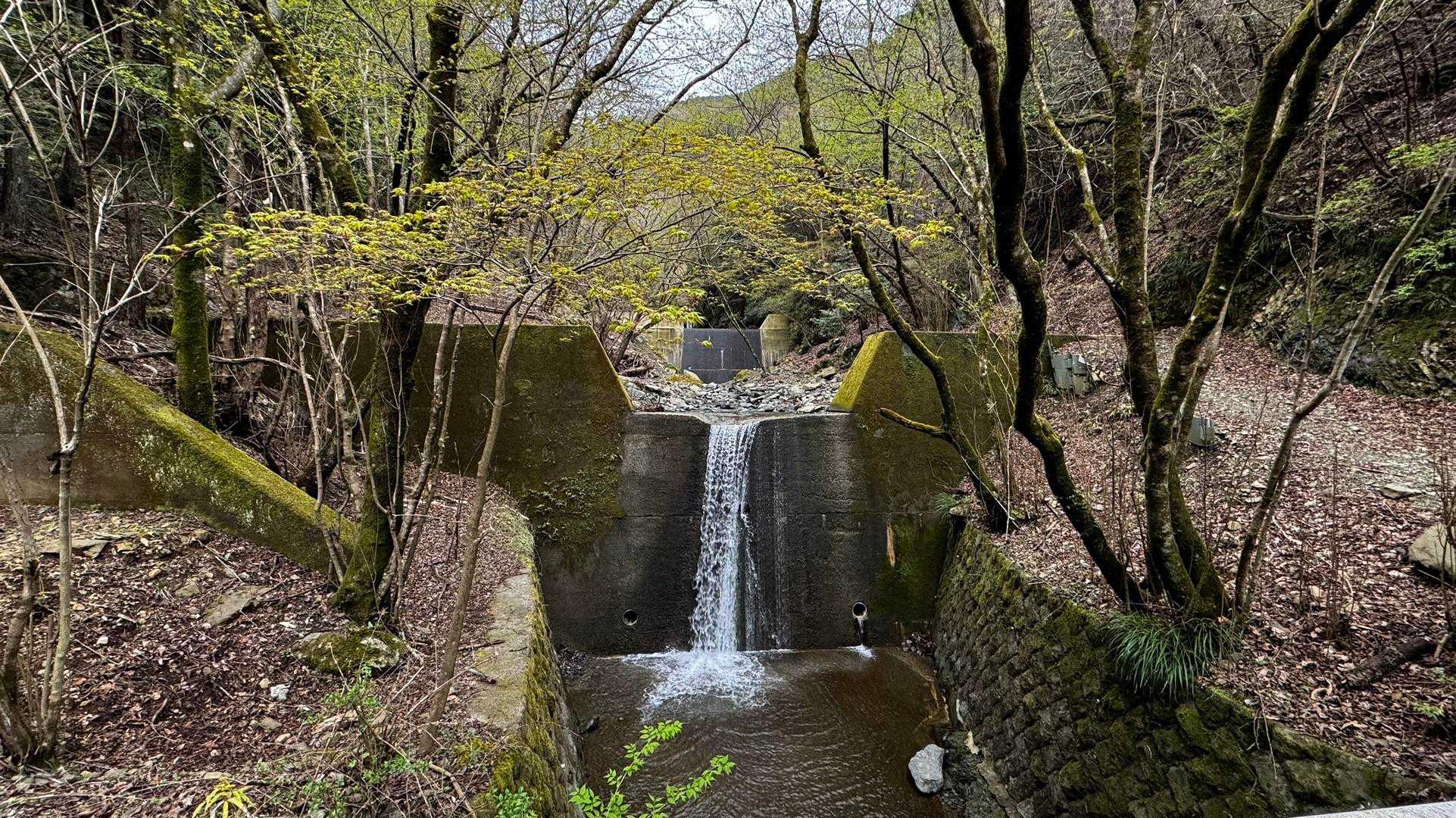 鍋割山・塔ノ岳・烏尾山縦走 の写真 58
