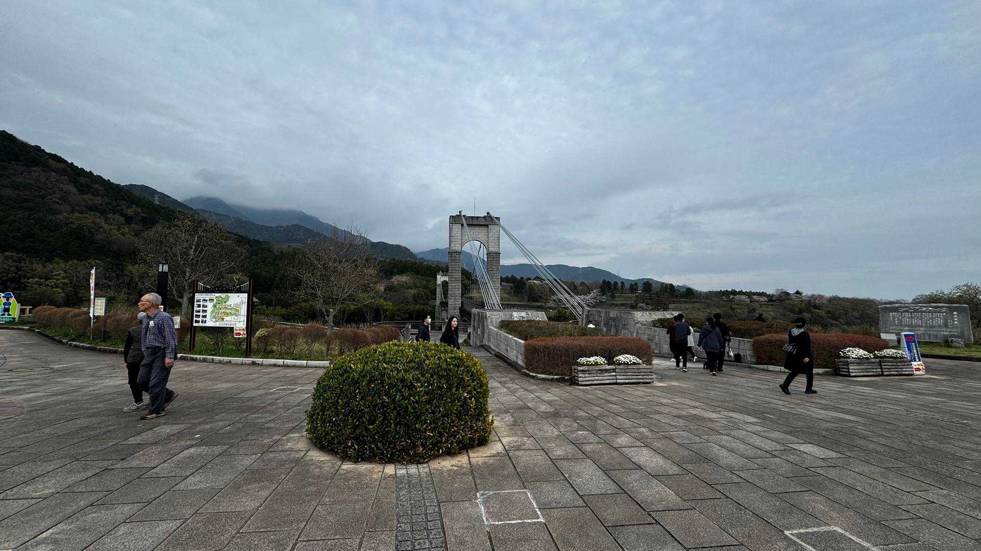 鍋割山・塔ノ岳・烏尾山縦走 の写真 68