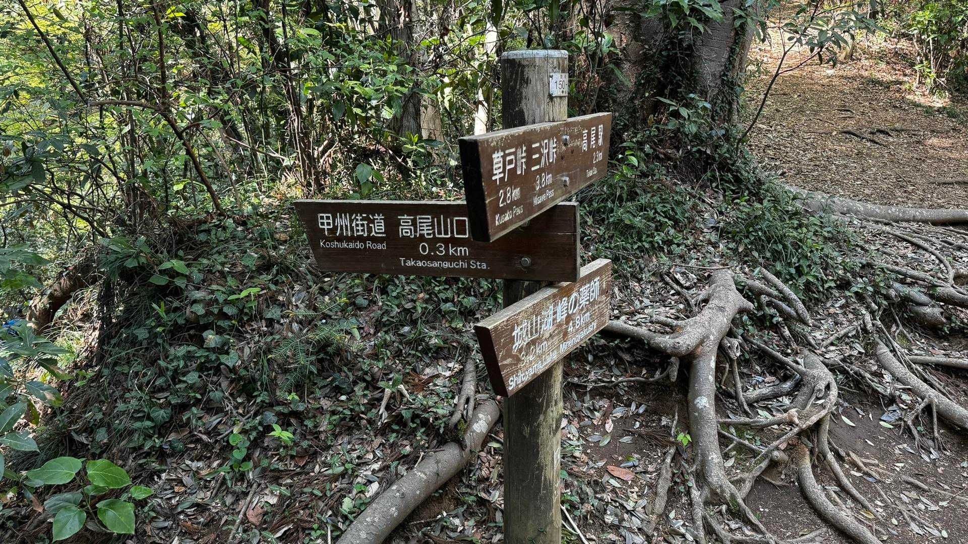 南高尾セブンサミッツ（大洞山・コンピラ山・中沢山・入沢山・泰光寺山・榎窪山・草戸山） の写真 40