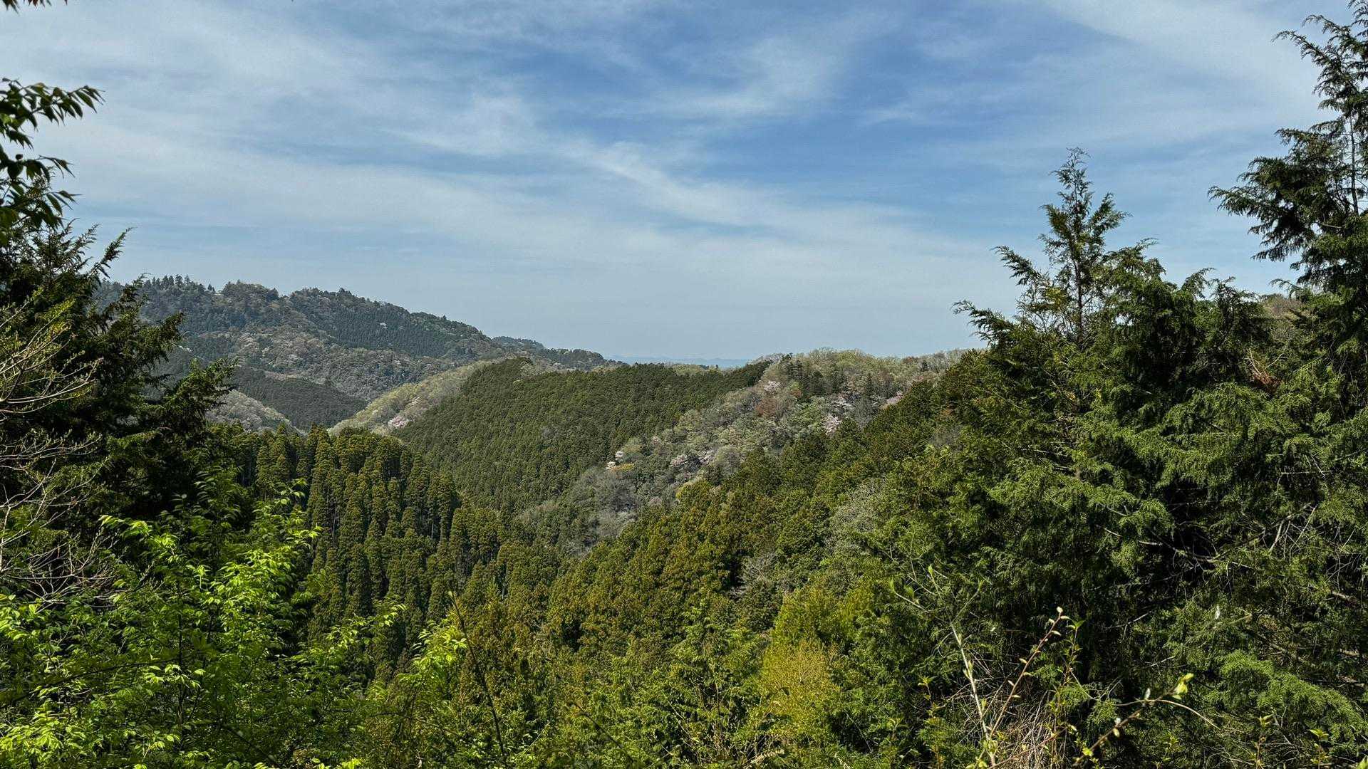 南高尾セブンサミッツ（大洞山・コンピラ山・中沢山・入沢山・泰光寺山・榎窪山・草戸山） の写真 37