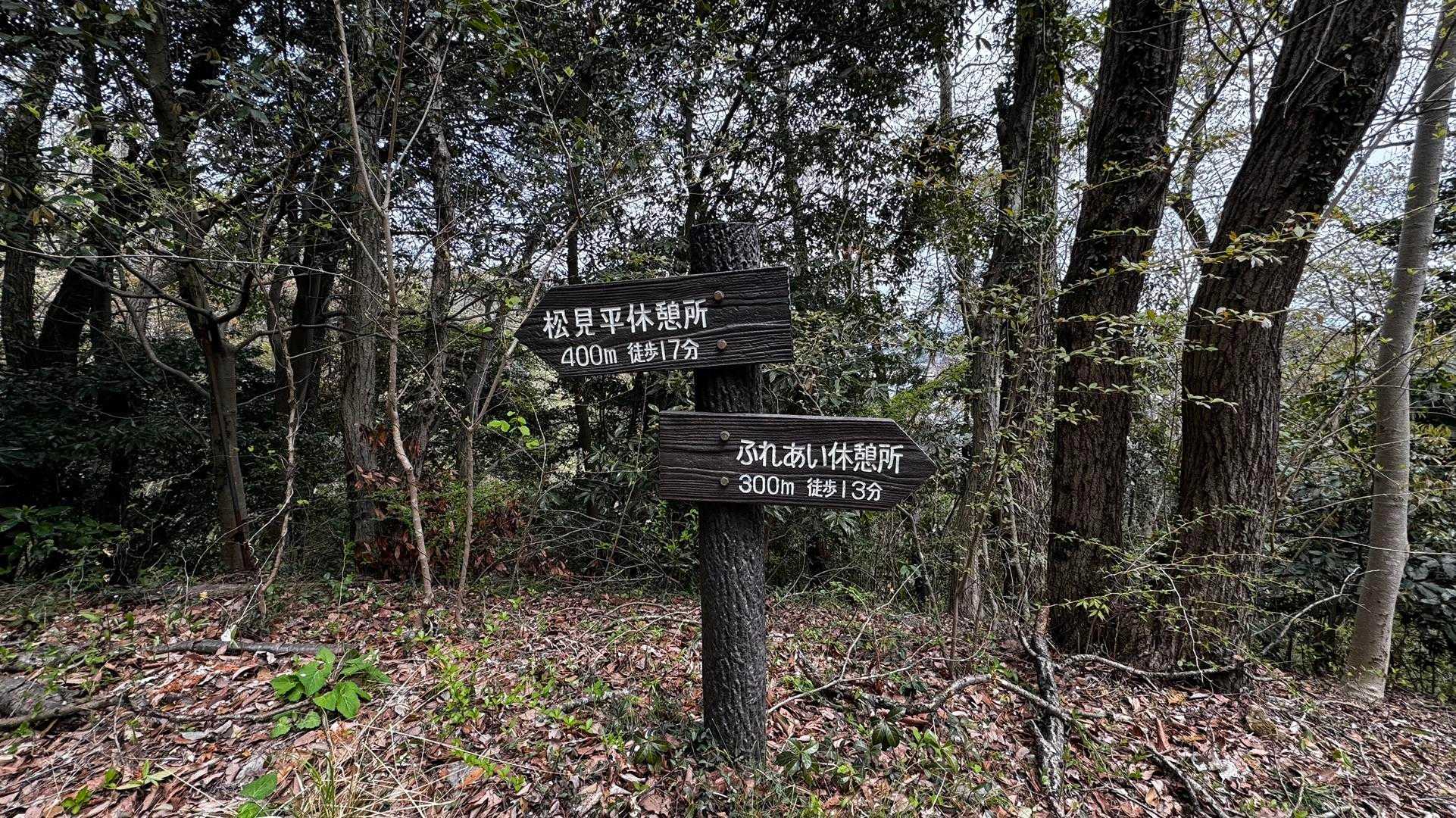 南高尾セブンサミッツ（大洞山・コンピラ山・中沢山・入沢山・泰光寺山・榎窪山・草戸山） の写真 29
