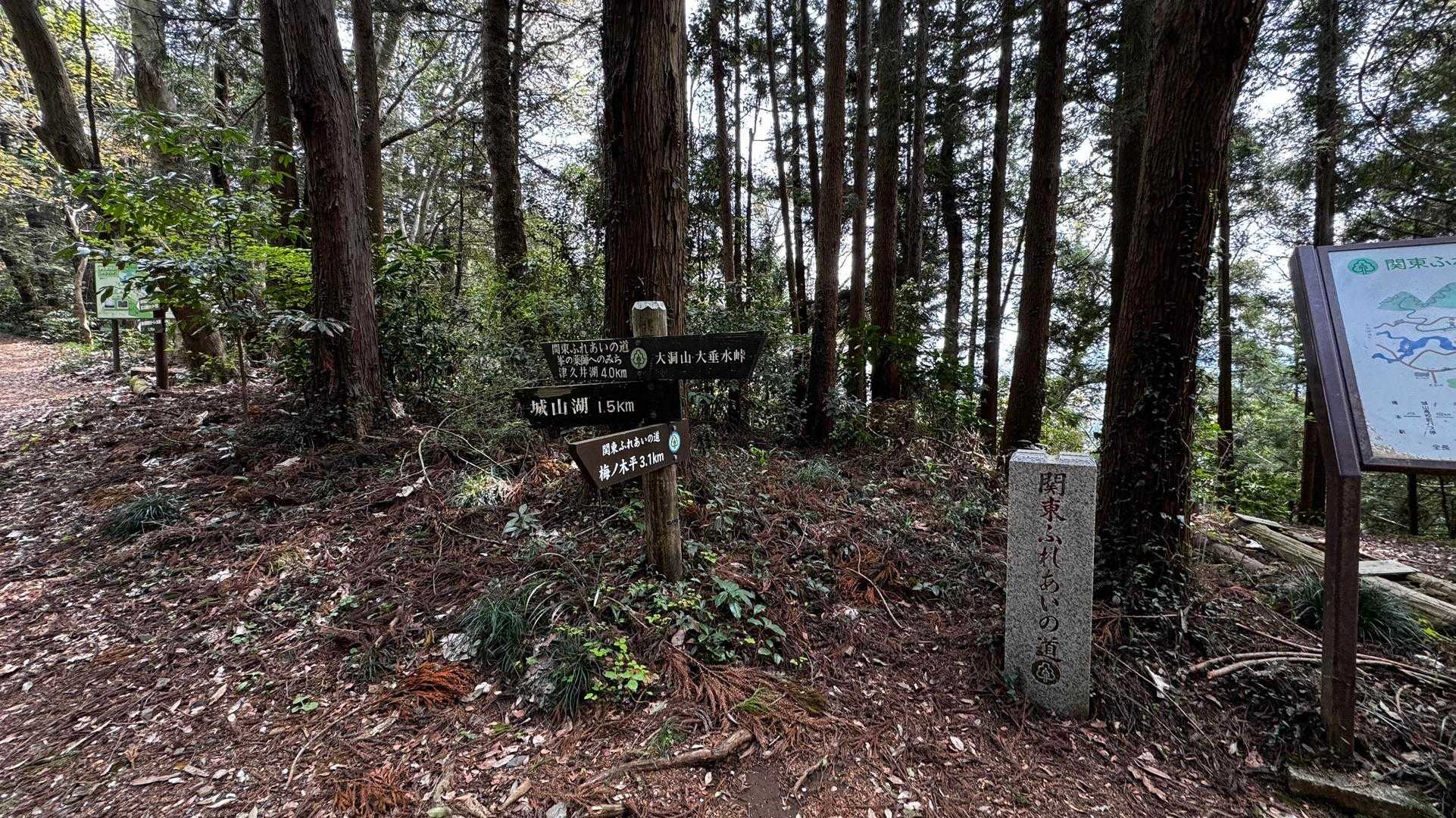 南高尾セブンサミッツ（大洞山・コンピラ山・中沢山・入沢山・泰光寺山・榎窪山・草戸山） の写真 26