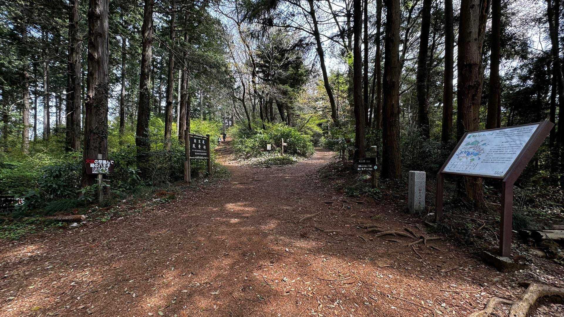 南高尾セブンサミッツ（大洞山・コンピラ山・中沢山・入沢山・泰光寺山・榎窪山・草戸山） の写真 25