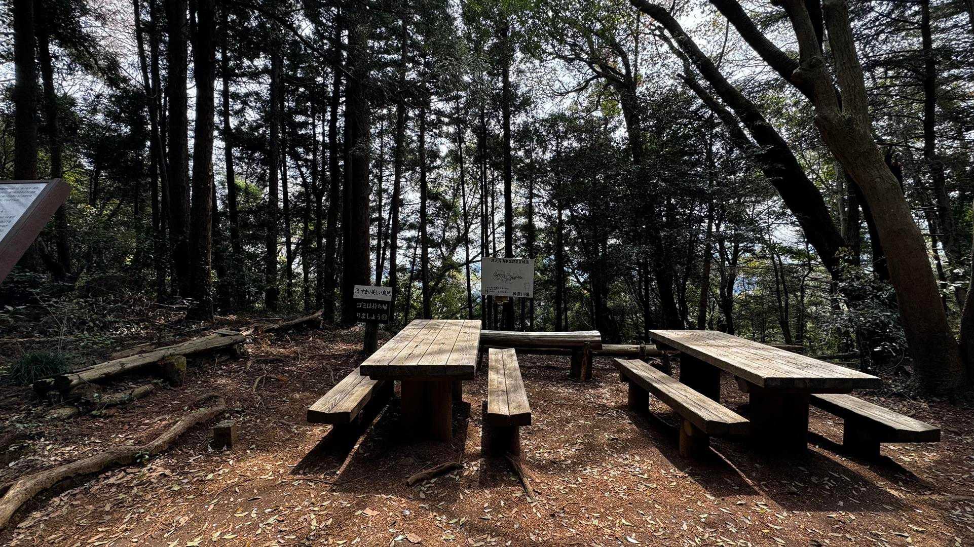 南高尾セブンサミッツ（大洞山・コンピラ山・中沢山・入沢山・泰光寺山・榎窪山・草戸山） の写真 24