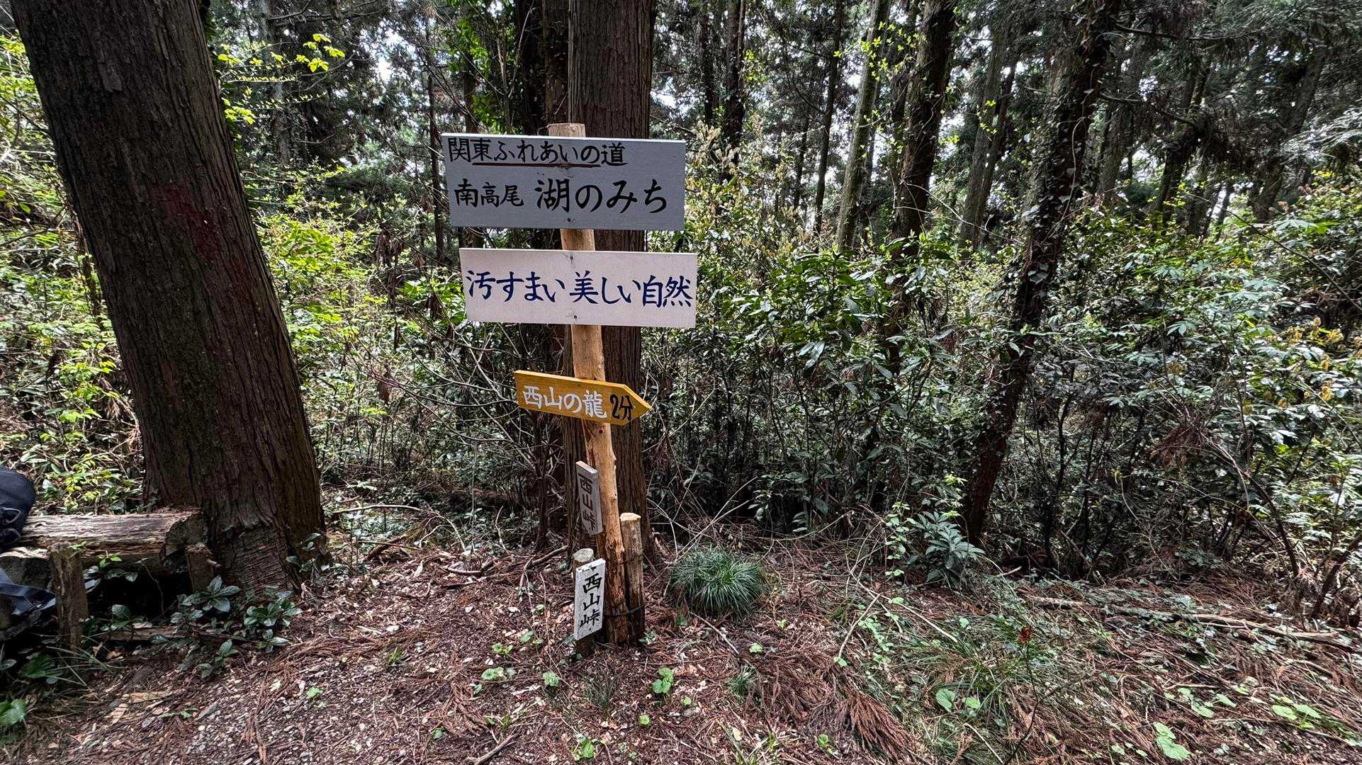 南高尾セブンサミッツ（大洞山・コンピラ山・中沢山・入沢山・泰光寺山・榎窪山・草戸山） の写真 21