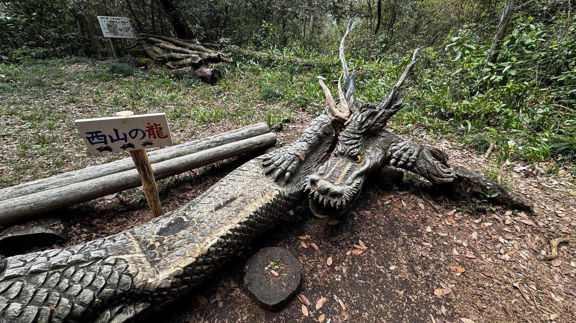 南高尾セブンサミッツ（大洞山・コンピラ山・中沢山・入沢山・泰光寺山・榎窪山・草戸山） の写真 20