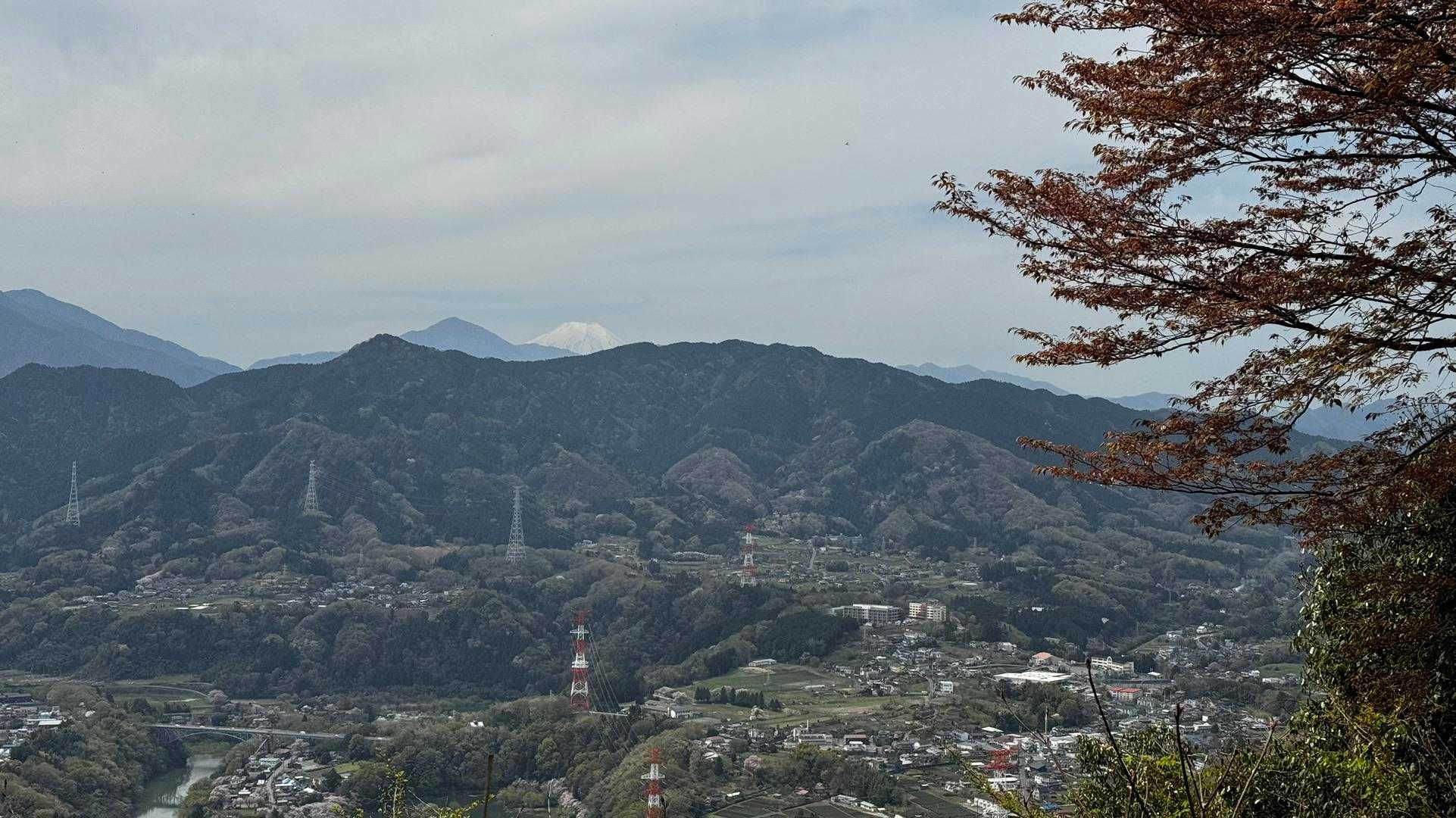 南高尾セブンサミッツ（大洞山・コンピラ山・中沢山・入沢山・泰光寺山・榎窪山・草戸山） の写真 18