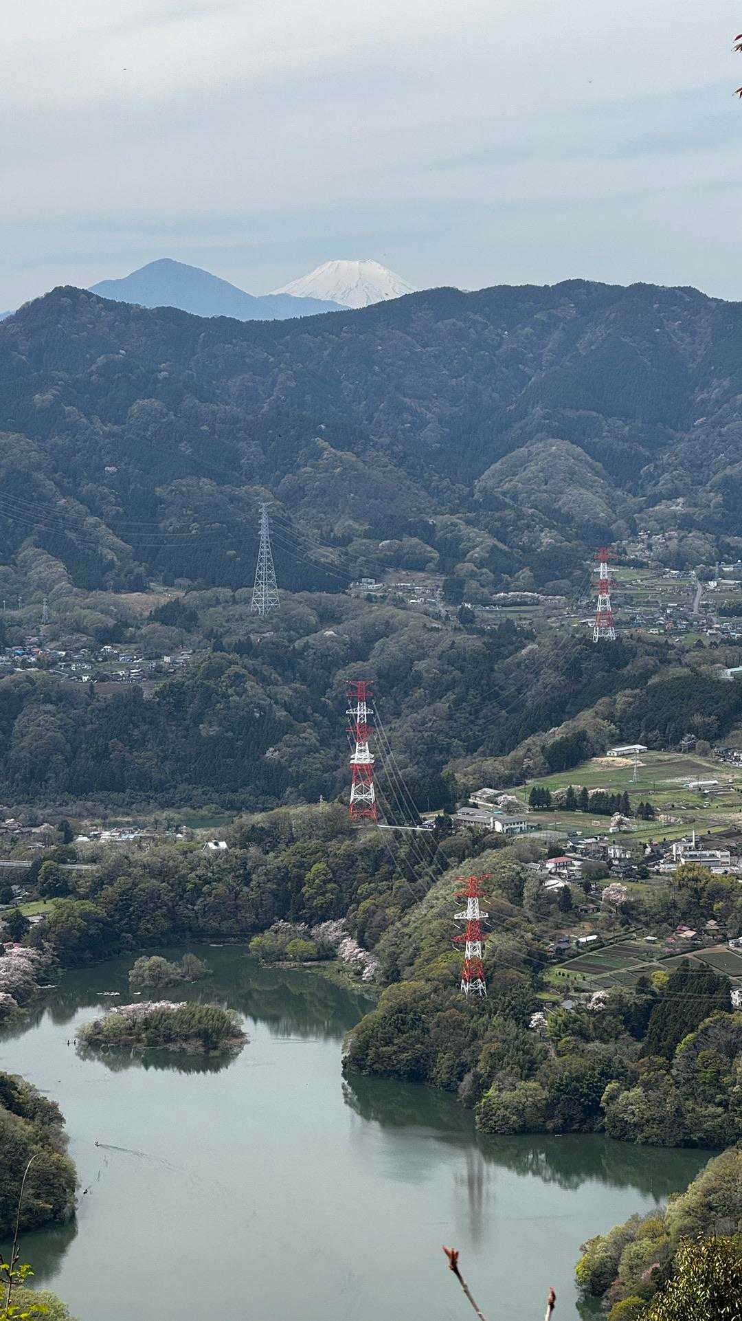南高尾セブンサミッツ（大洞山・コンピラ山・中沢山・入沢山・泰光寺山・榎窪山・草戸山） の写真 17