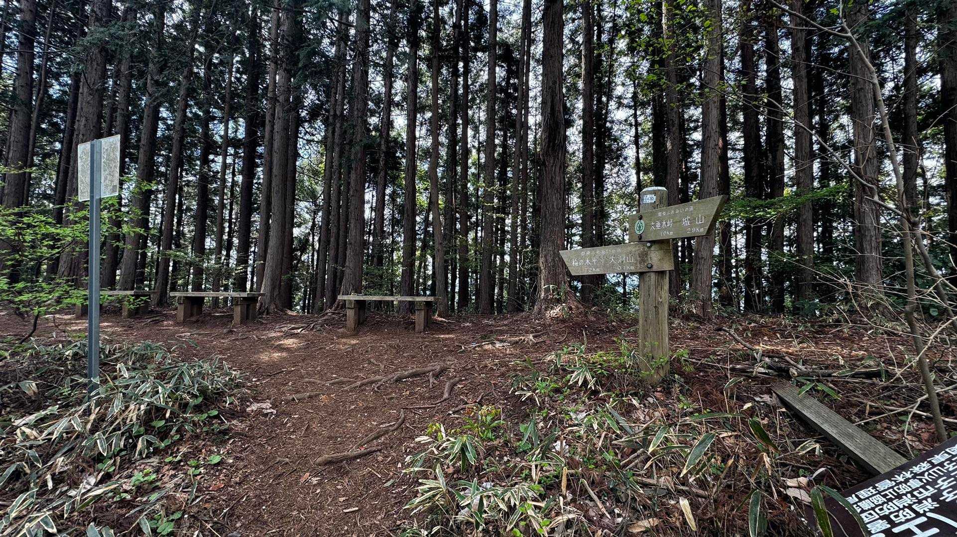 南高尾セブンサミッツ（大洞山・コンピラ山・中沢山・入沢山・泰光寺山・榎窪山・草戸山） の写真 14