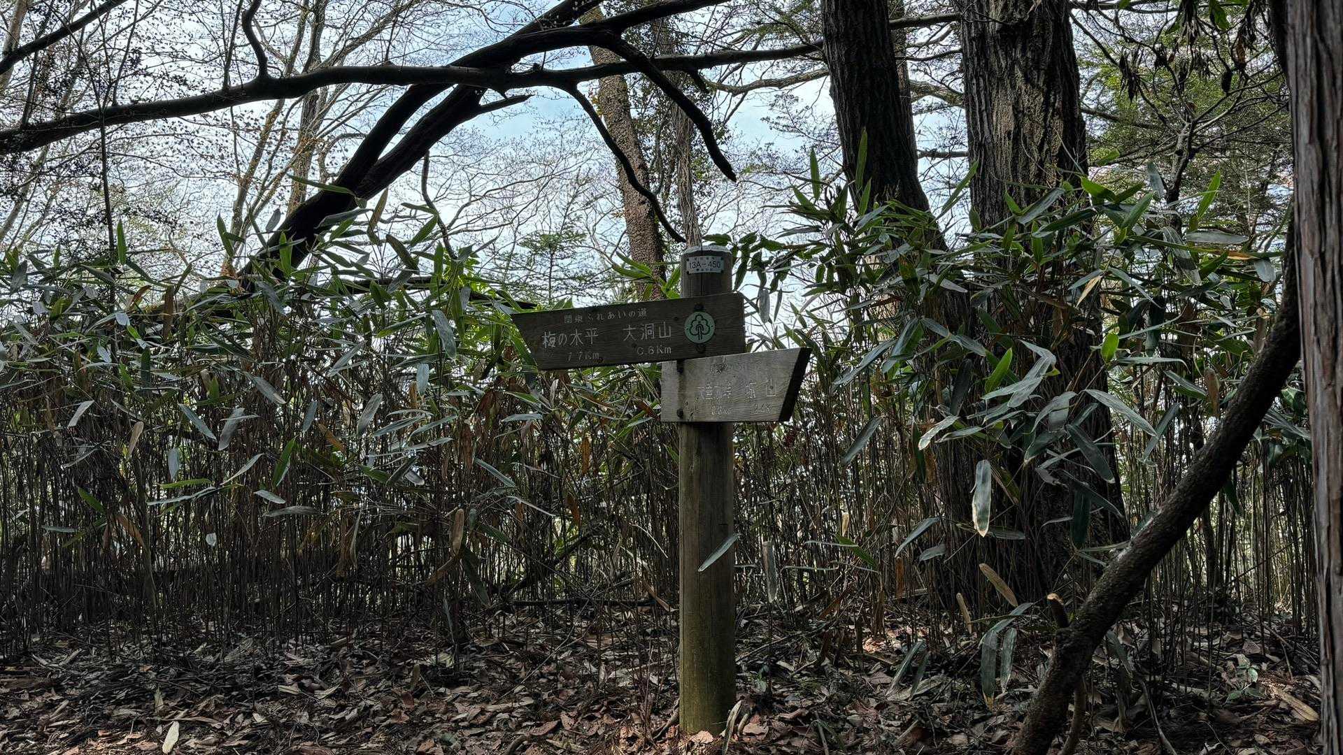 南高尾セブンサミッツ（大洞山・コンピラ山・中沢山・入沢山・泰光寺山・榎窪山・草戸山） の写真 12