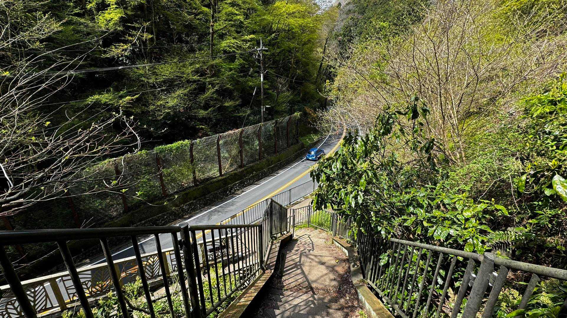 南高尾セブンサミッツ（大洞山・コンピラ山・中沢山・入沢山・泰光寺山・榎窪山・草戸山） の写真 10