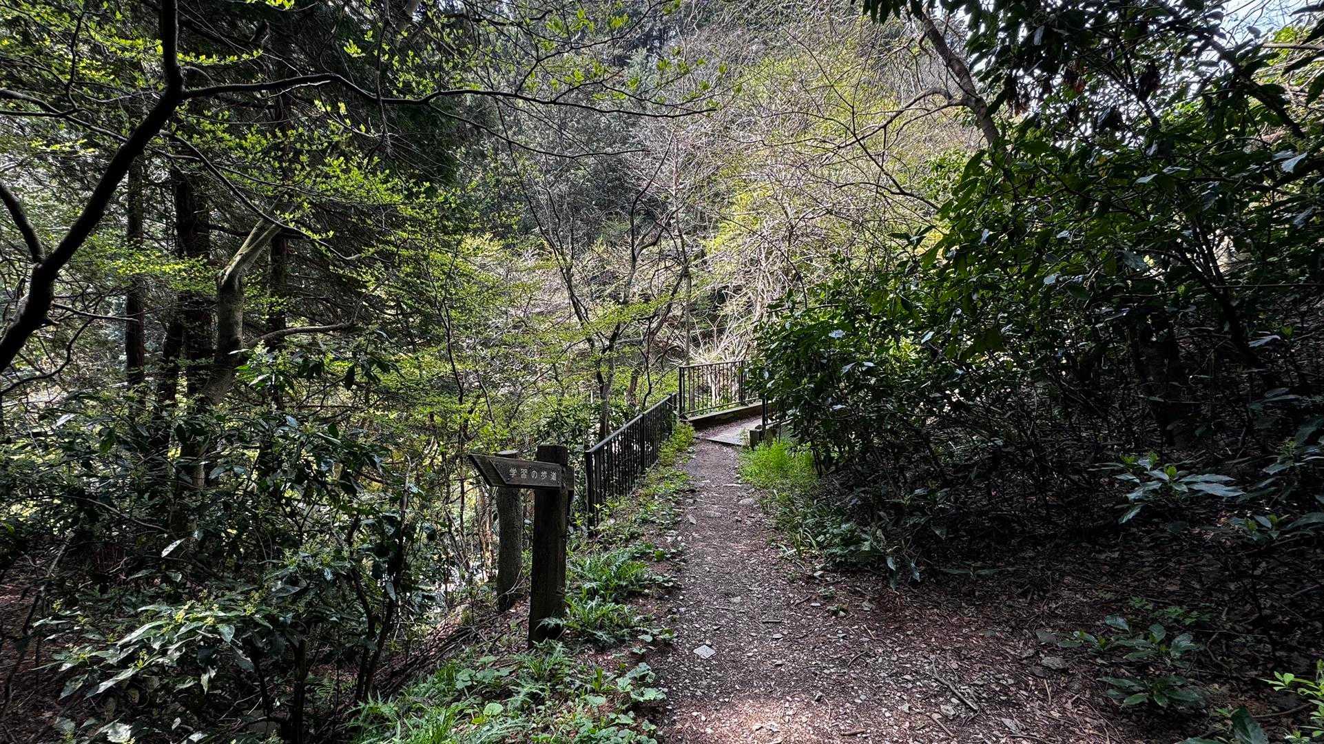 南高尾セブンサミッツ（大洞山・コンピラ山・中沢山・入沢山・泰光寺山・榎窪山・草戸山） の写真 9