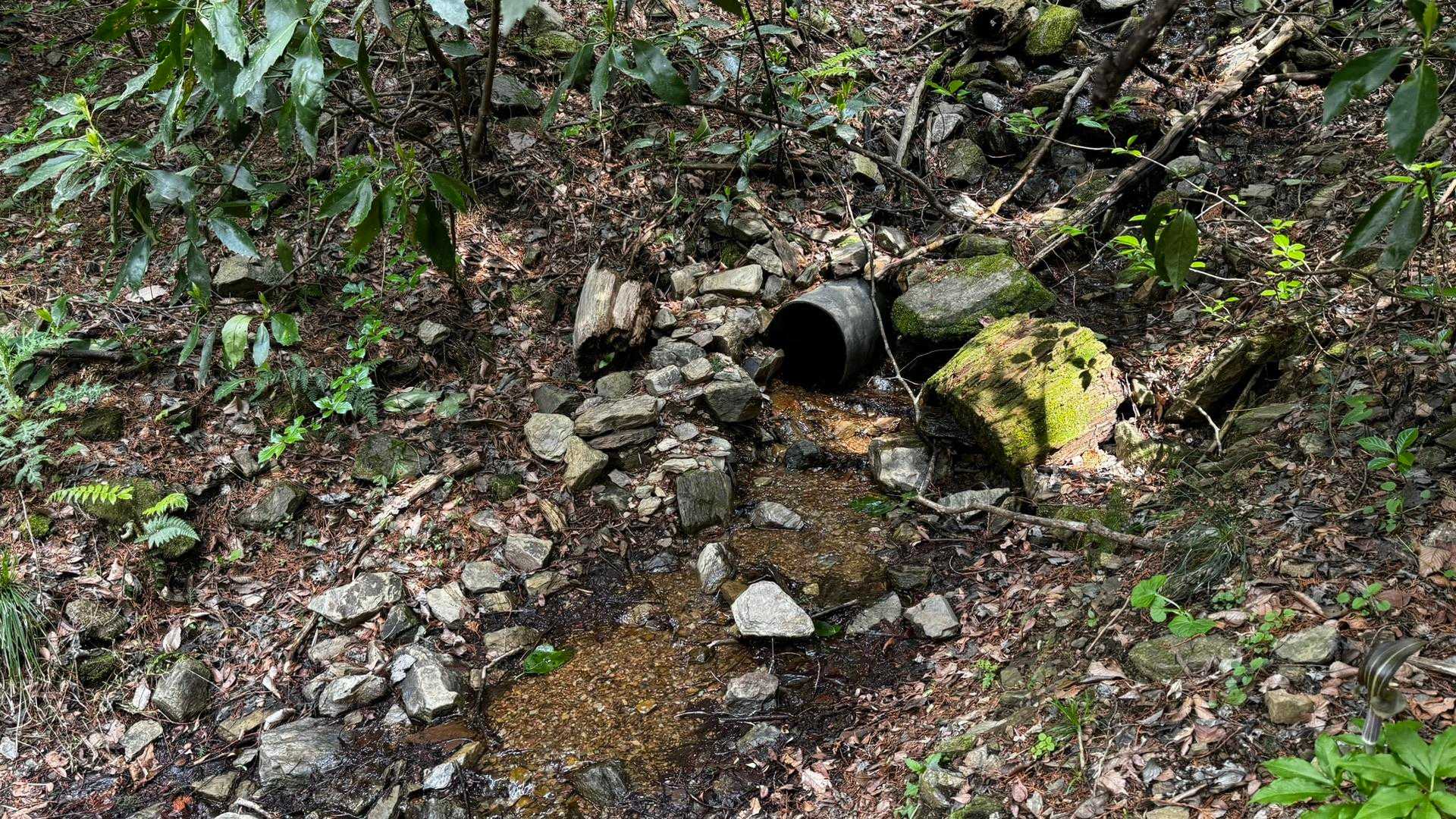 南高尾セブンサミッツ（大洞山・コンピラ山・中沢山・入沢山・泰光寺山・榎窪山・草戸山） の写真 8