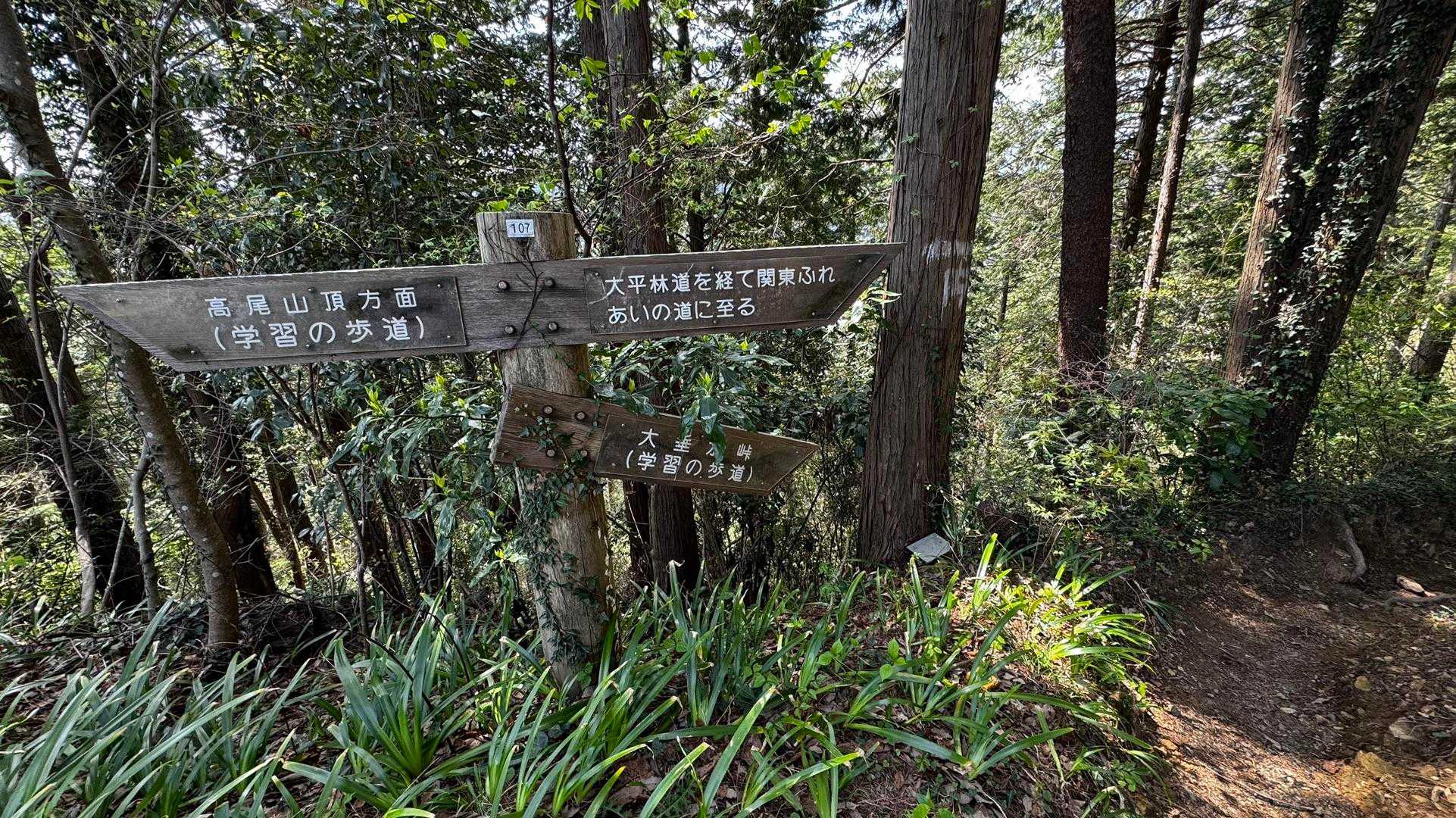 南高尾セブンサミッツ（大洞山・コンピラ山・中沢山・入沢山・泰光寺山・榎窪山・草戸山） の写真 7