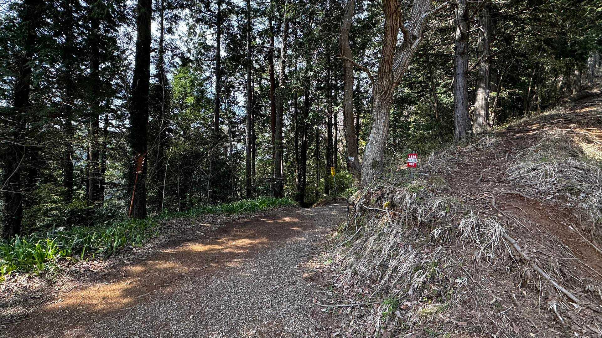 南高尾セブンサミッツ（大洞山・コンピラ山・中沢山・入沢山・泰光寺山・榎窪山・草戸山） の写真 6